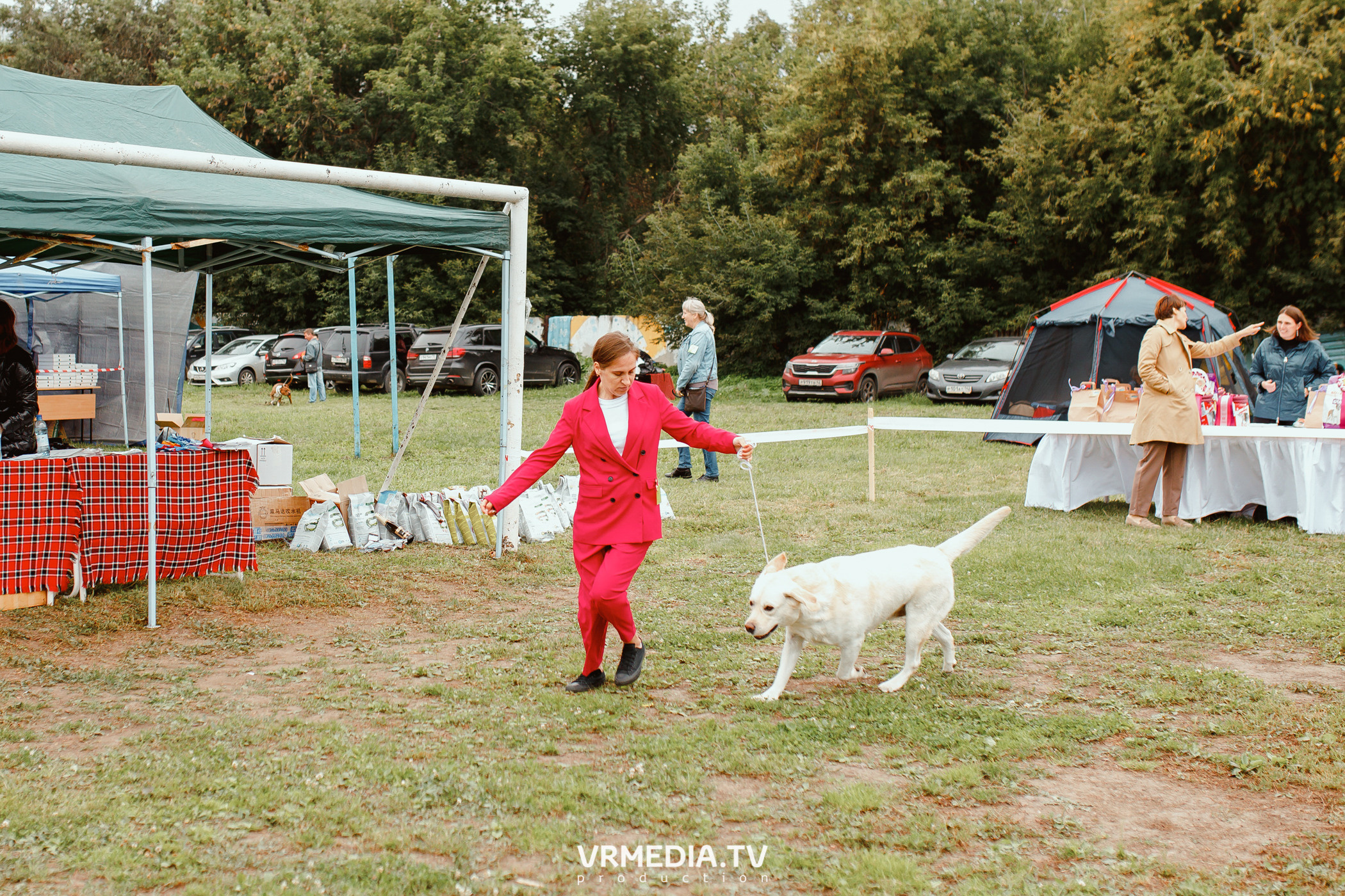 Монопородная выставка лабрадоров «КУЗБАСС 2021»