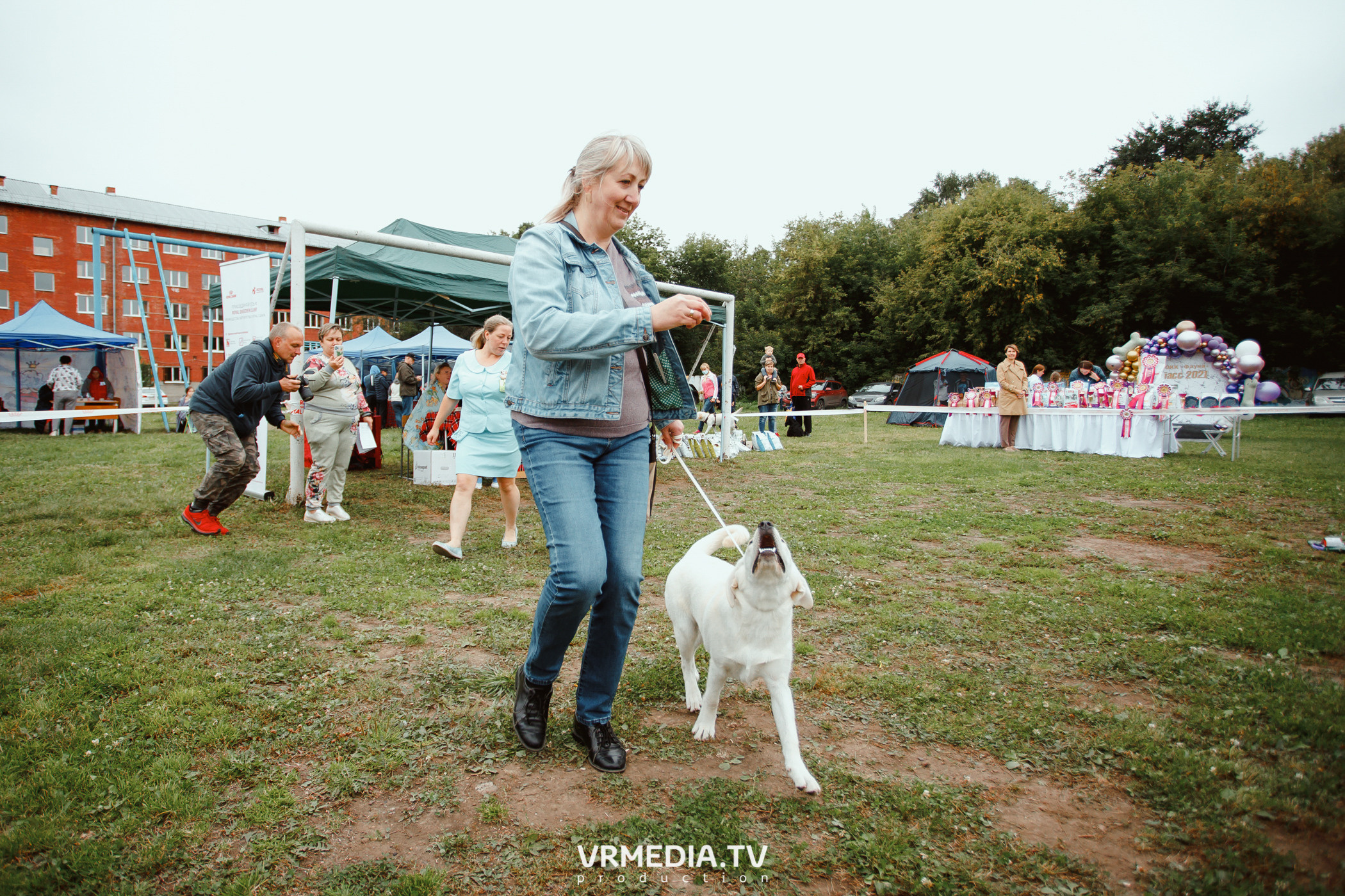 Монопородная выставка лабрадоров «КУЗБАСС 2021»