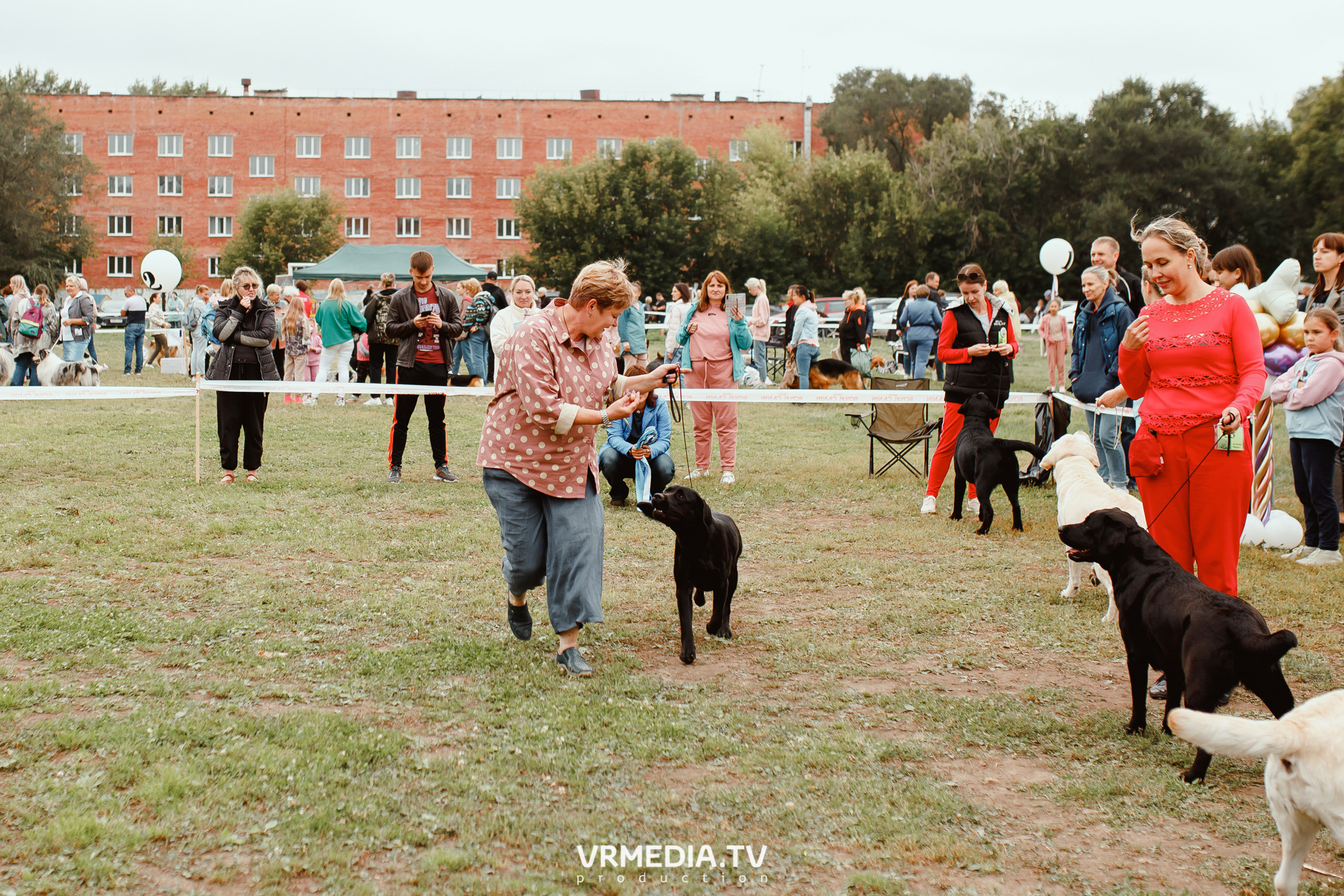 Монопородная выставка лабрадоров «КУЗБАСС 2021»