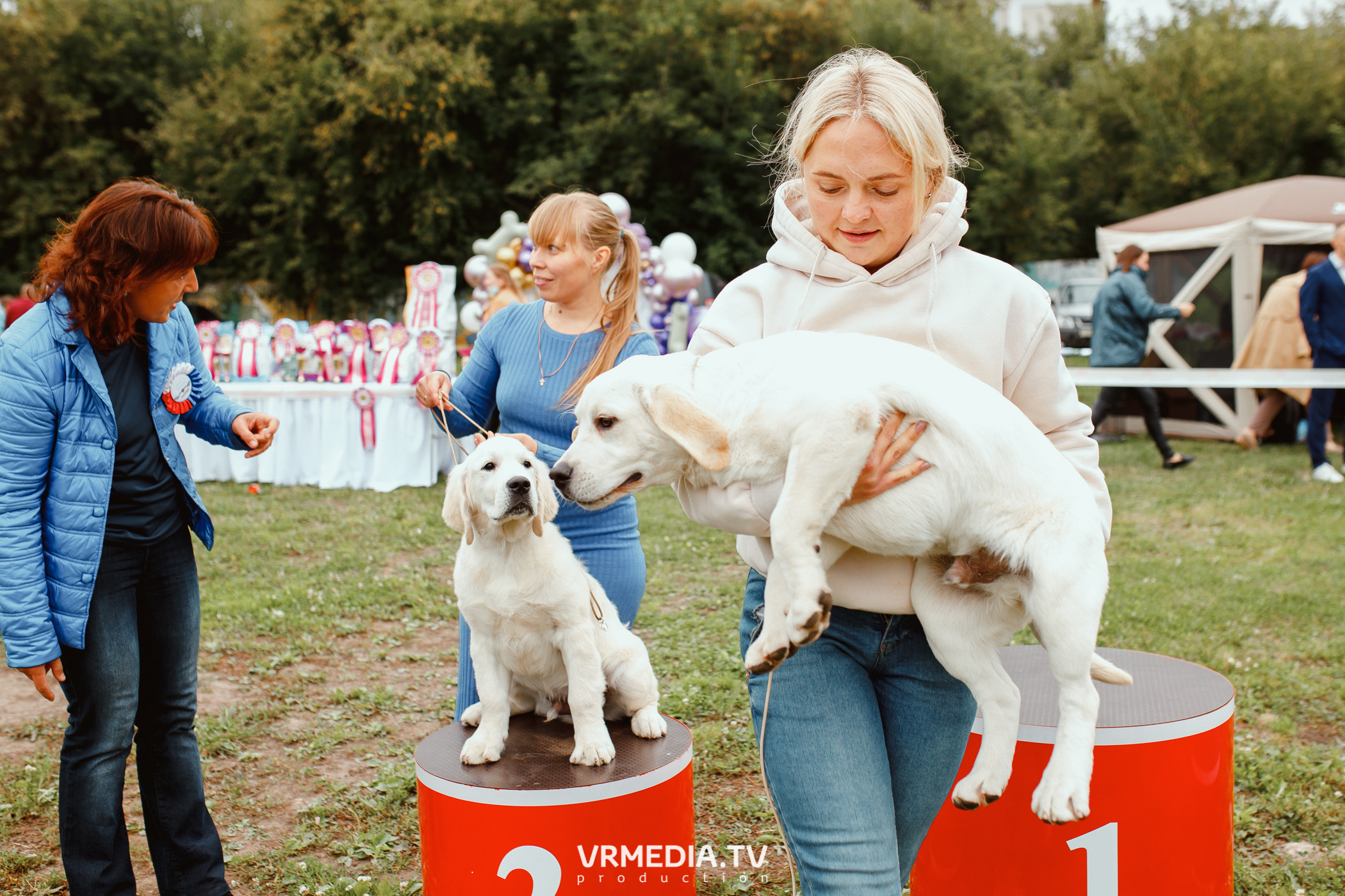 Монопородная выставка лабрадоров «КУЗБАСС 2021»