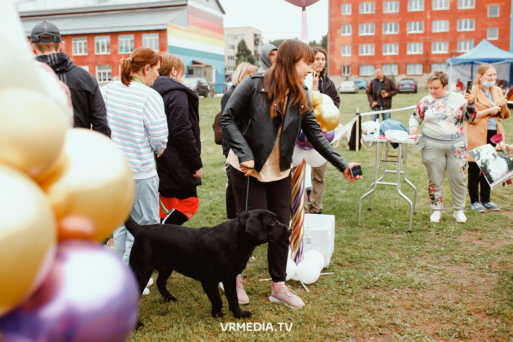 Монопородная выставка лабрадоров «КУЗБАСС 2021»