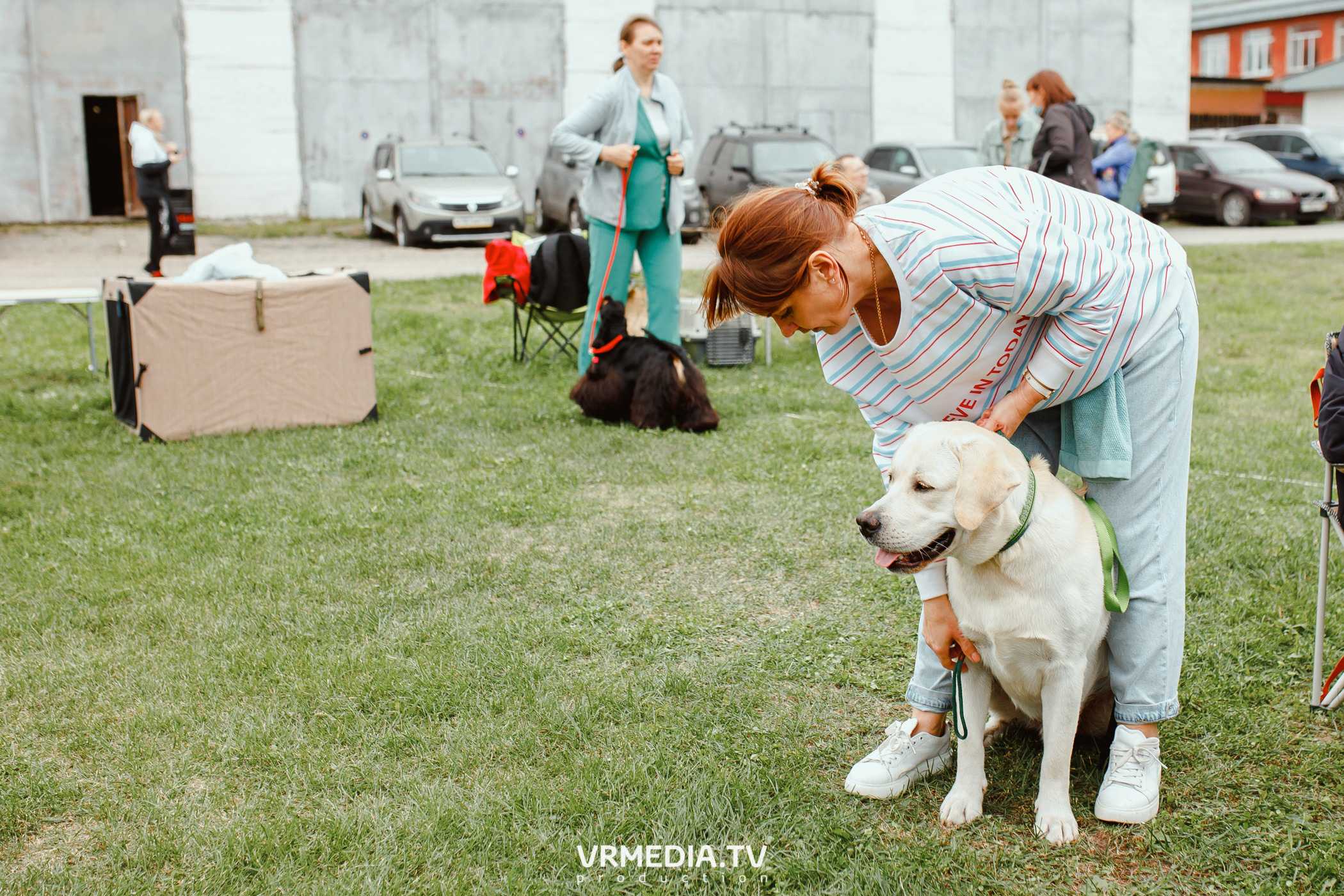 Монопородная выставка лабрадоров «КУЗБАСС 2021»