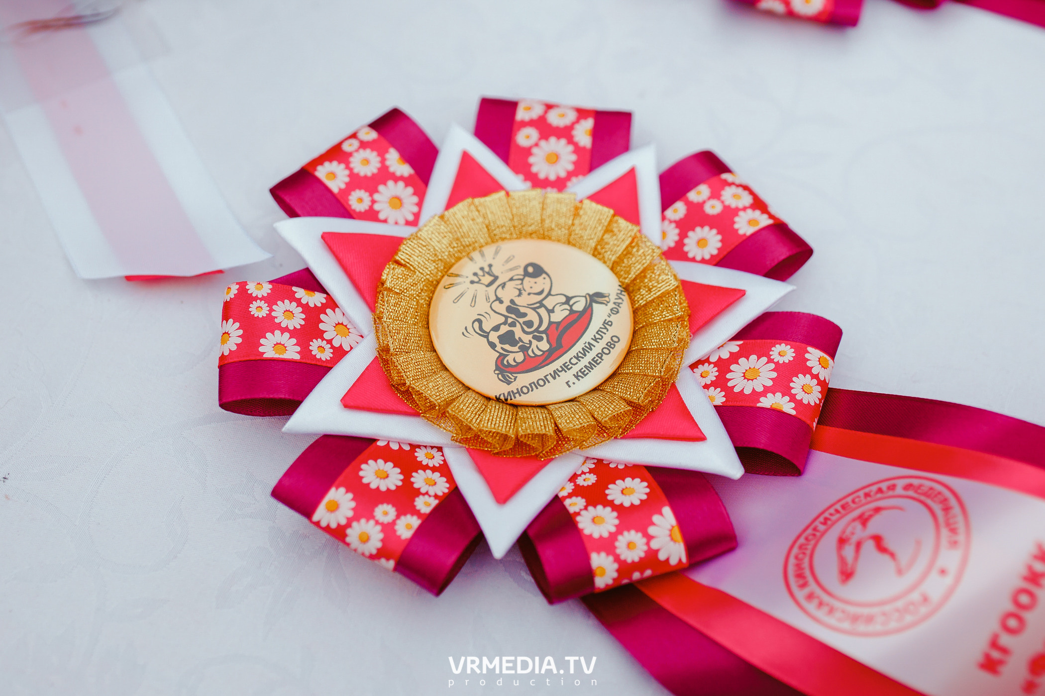 Монопородная выставка лабрадоров «КУЗБАСС 2021»