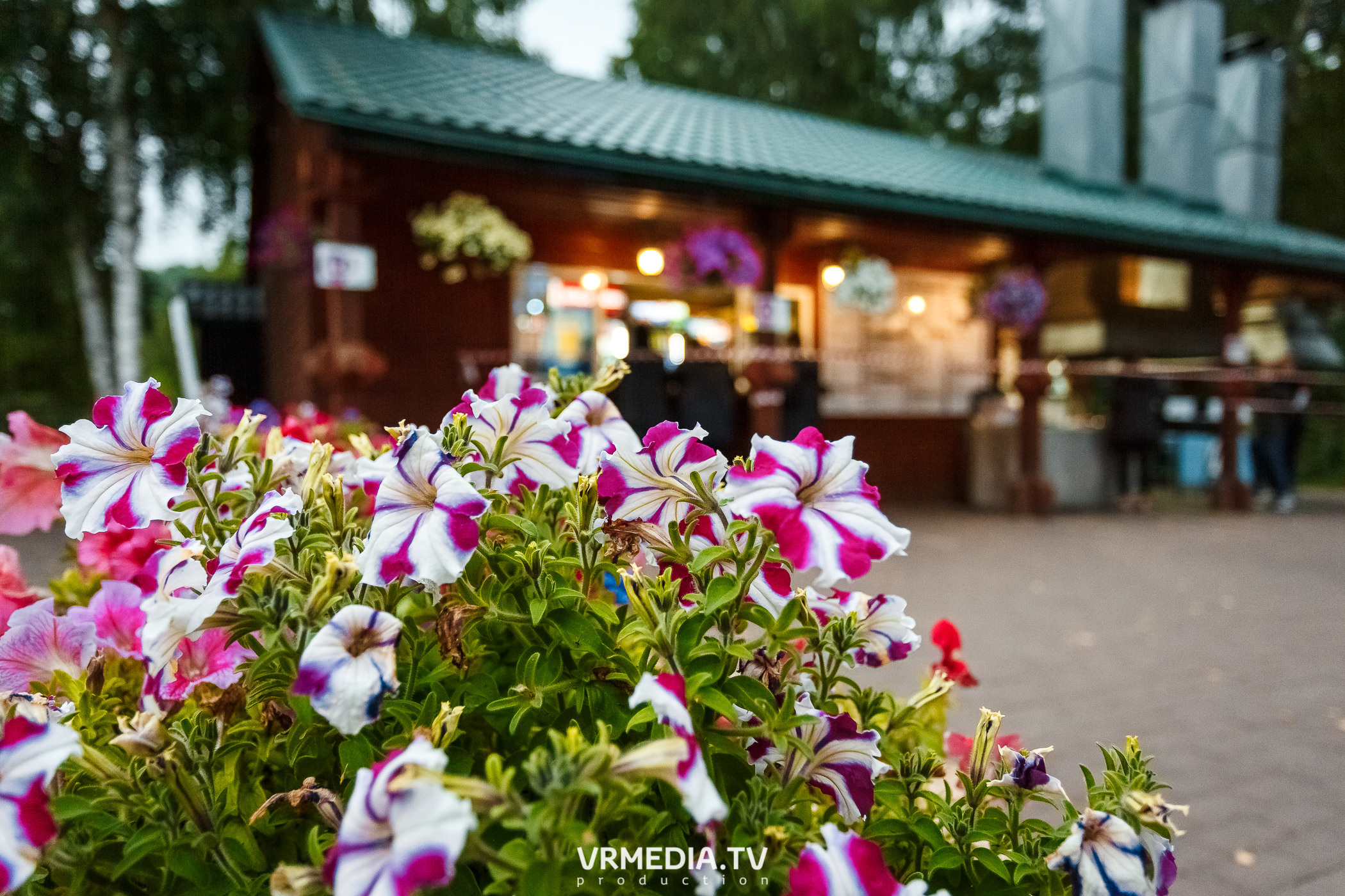 Выходные «У Петровича»