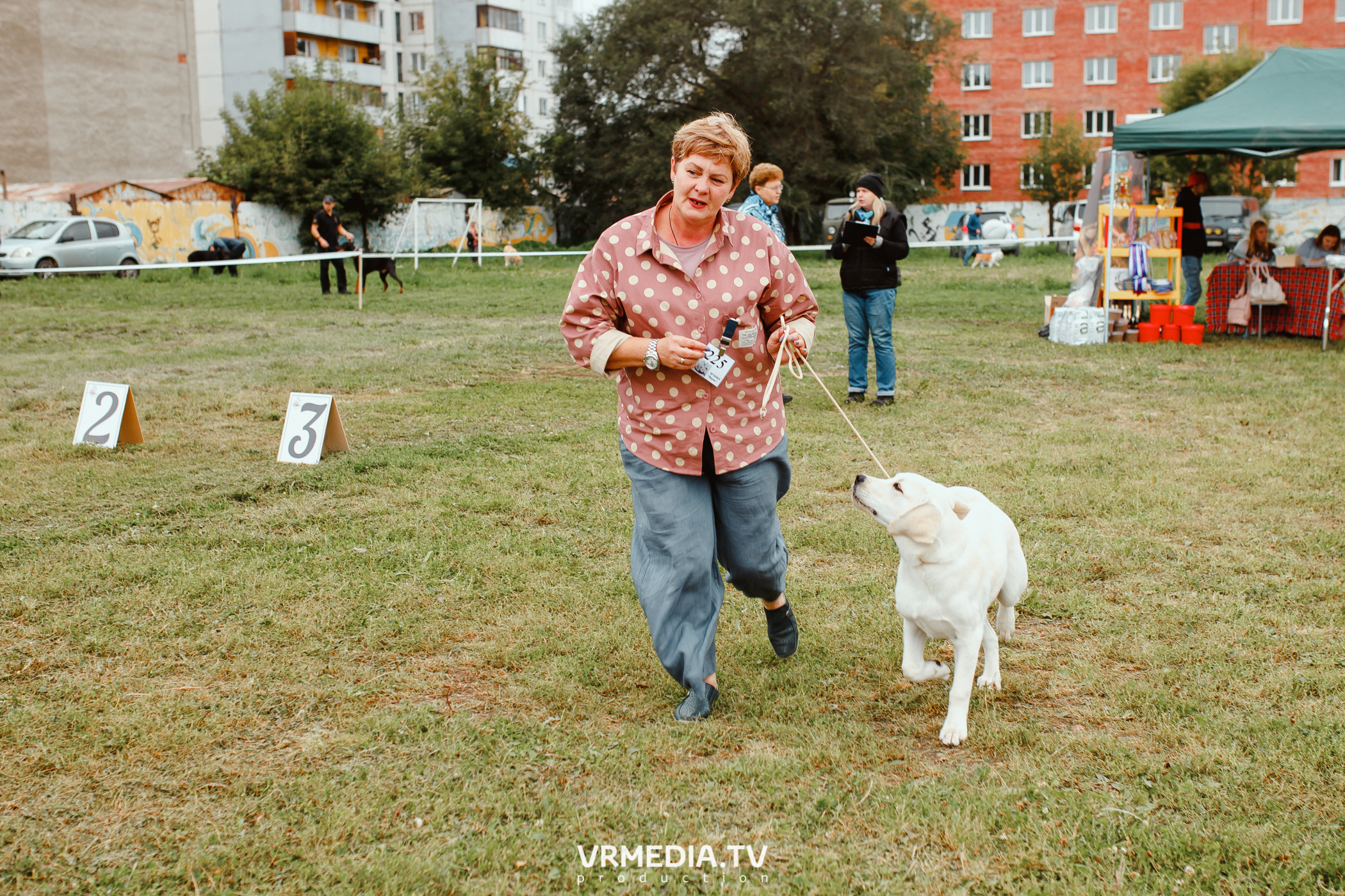 Монопородная выставка лабрадоров «КУЗБАСС 2021»