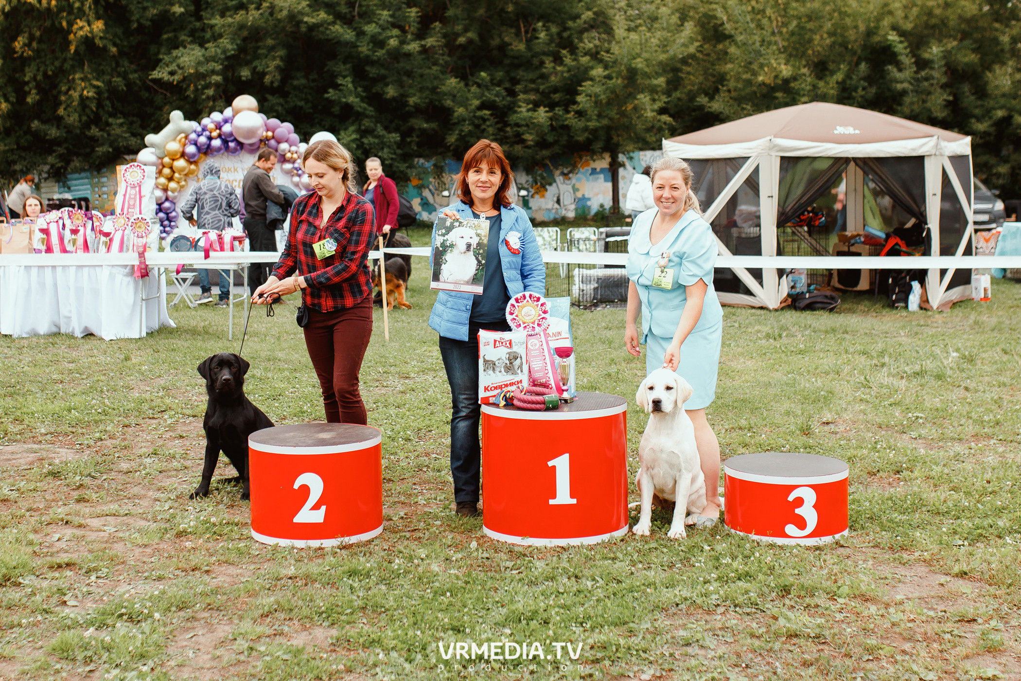 Монопородная выставка лабрадоров «КУЗБАСС 2021»