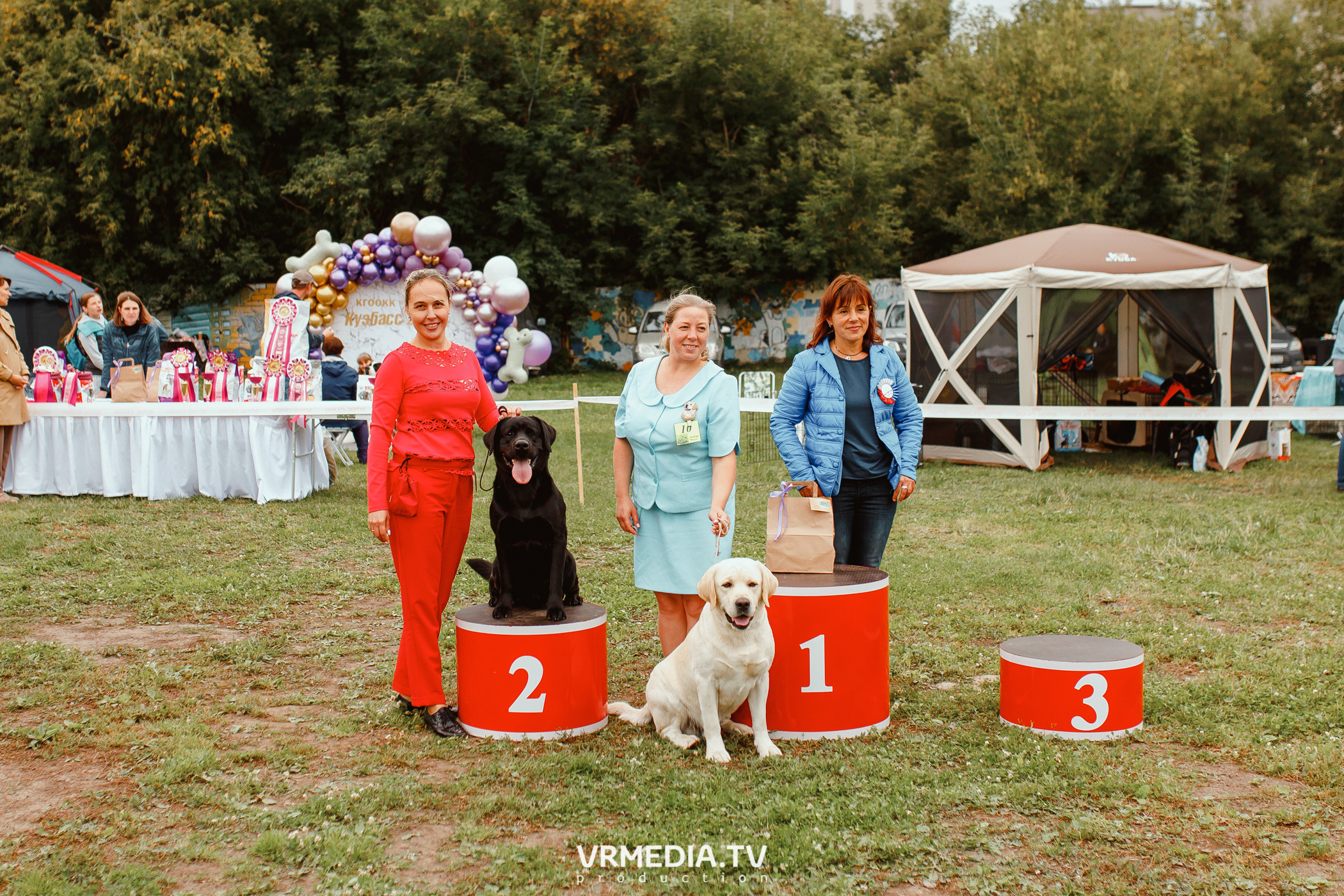 Монопородная выставка лабрадоров «КУЗБАСС 2021»