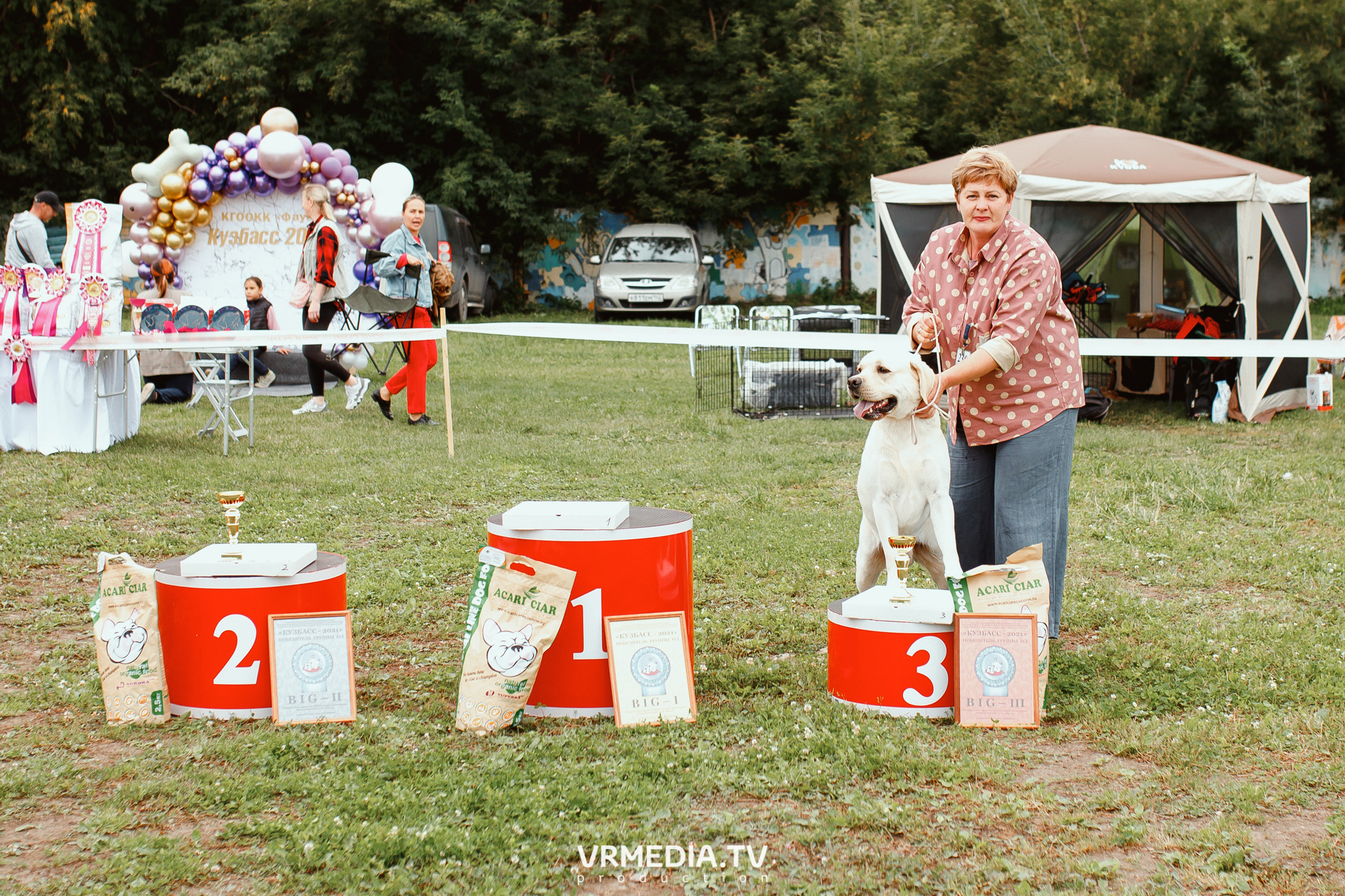 Монопородная выставка лабрадоров «КУЗБАСС 2021»