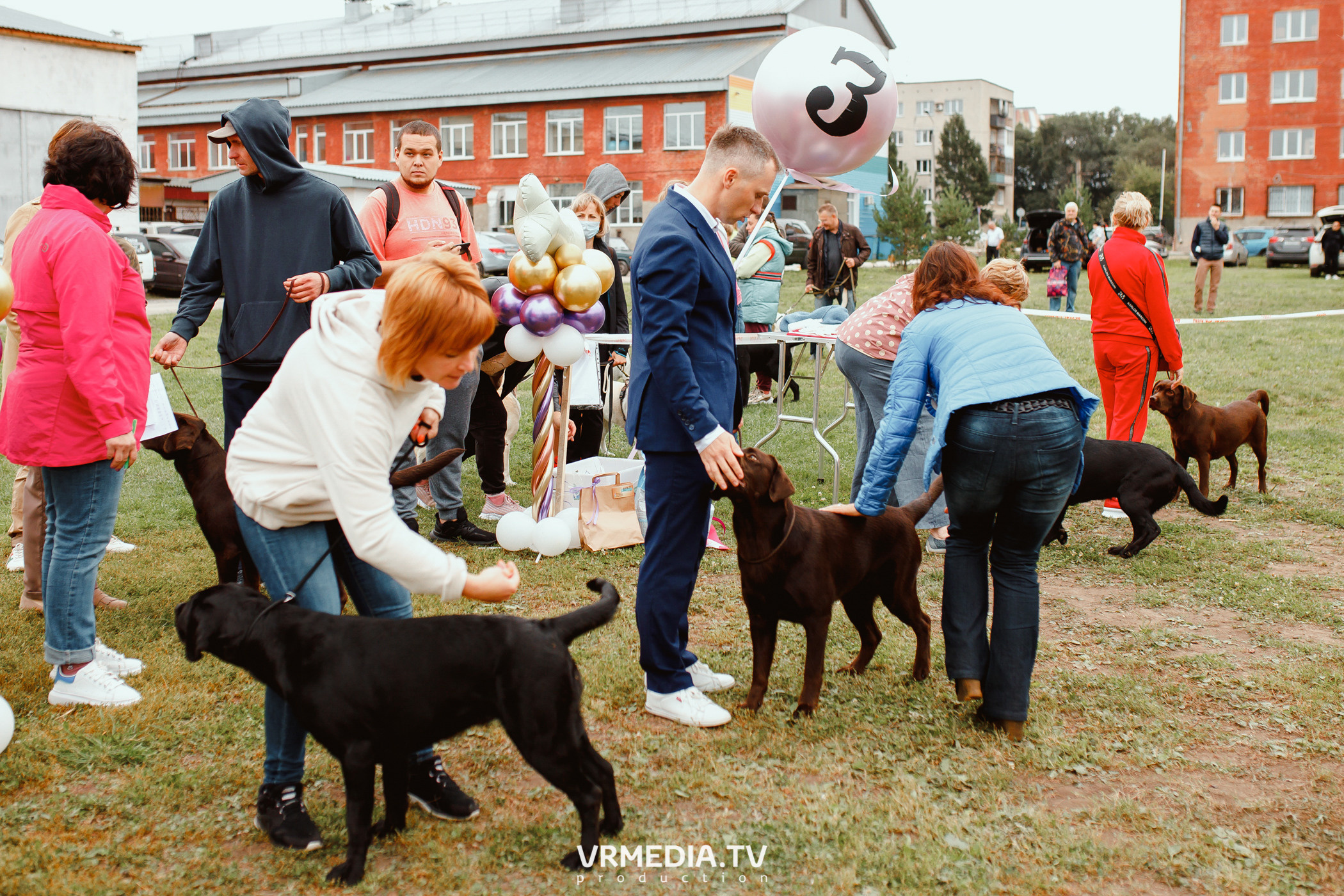 Монопородная выставка лабрадоров «КУЗБАСС 2021»