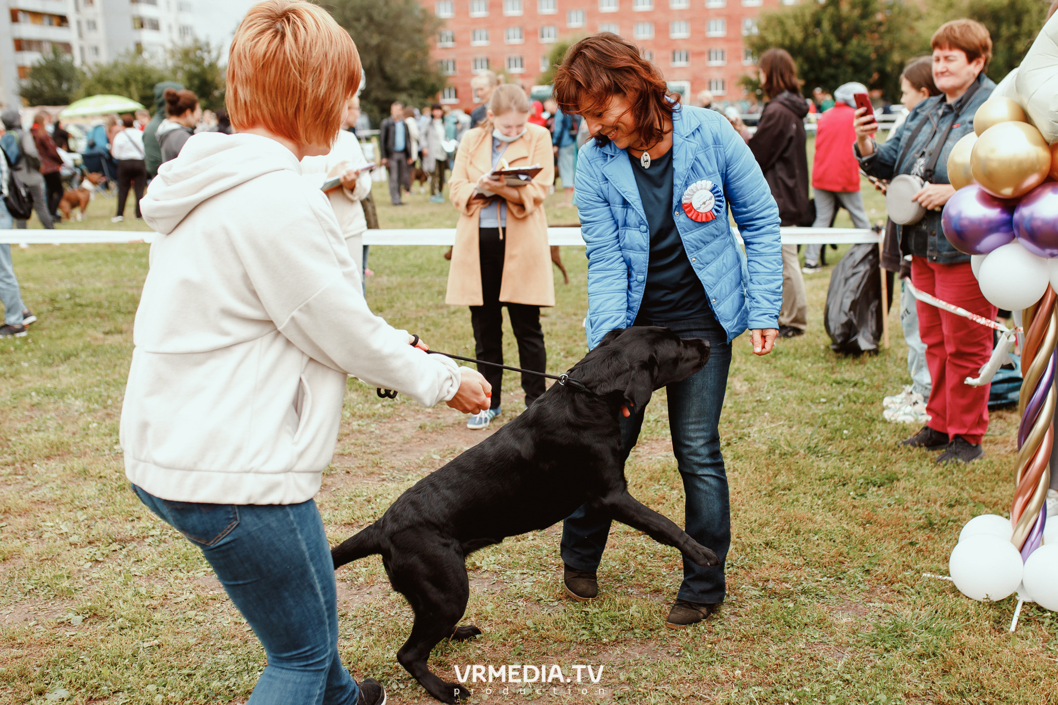 Монопородная выставка лабрадоров «КУЗБАСС 2021»