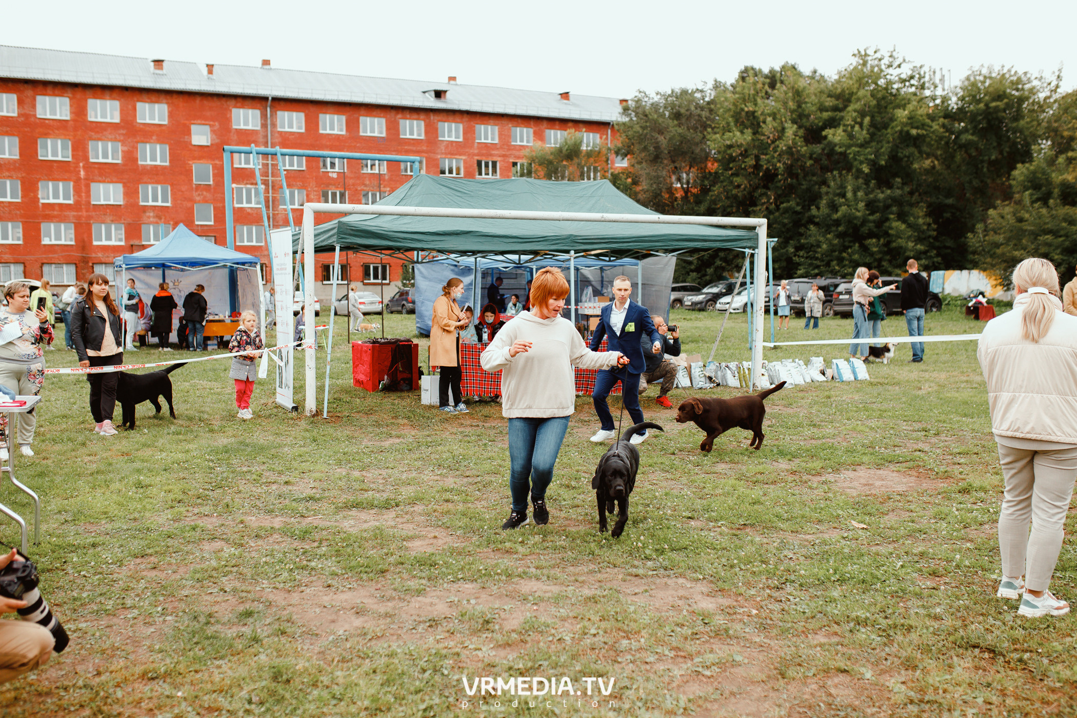 Монопородная выставка лабрадоров «КУЗБАСС 2021»