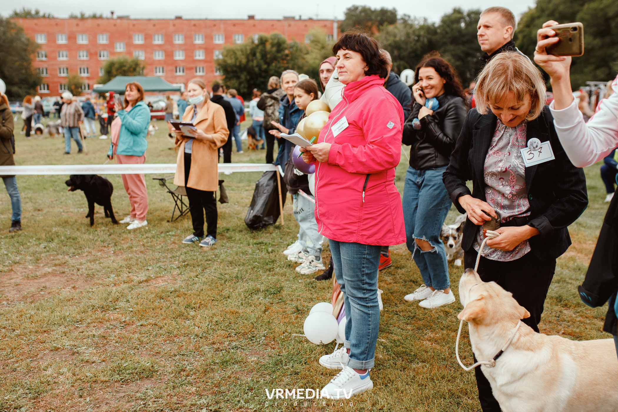 Монопородная выставка лабрадоров «КУЗБАСС 2021»