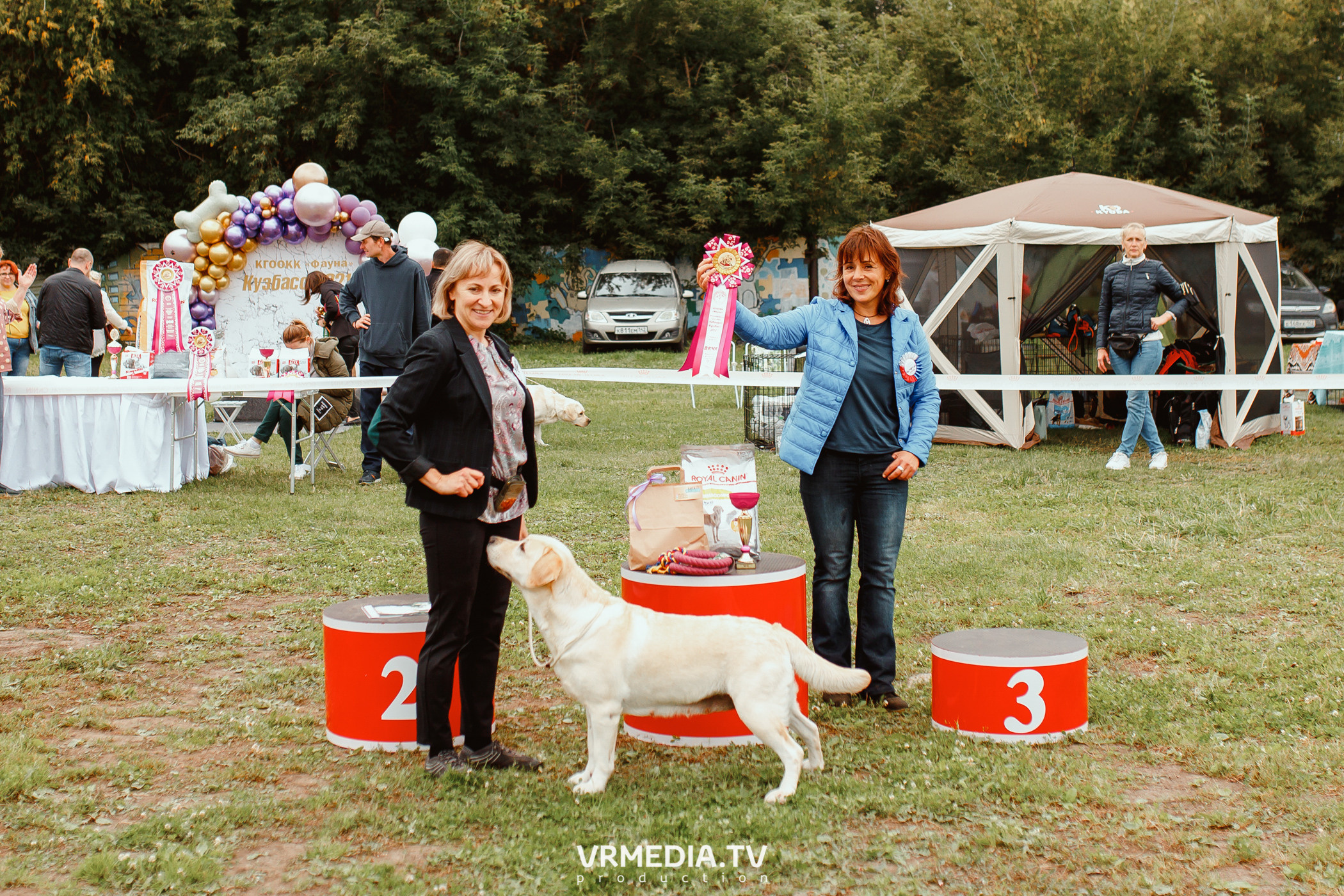 Монопородная выставка лабрадоров «КУЗБАСС 2021»
