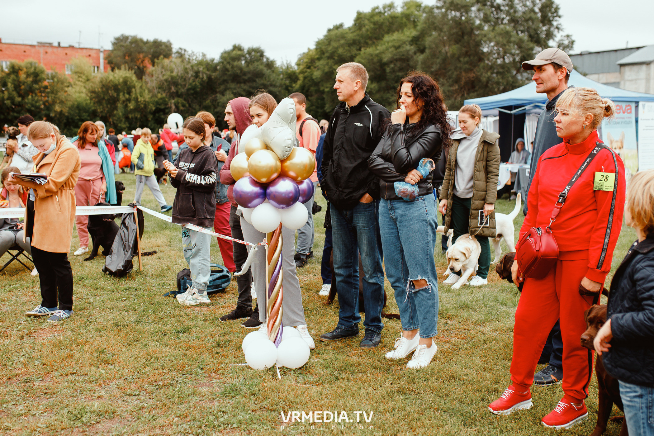 Монопородная выставка лабрадоров «КУЗБАСС 2021»