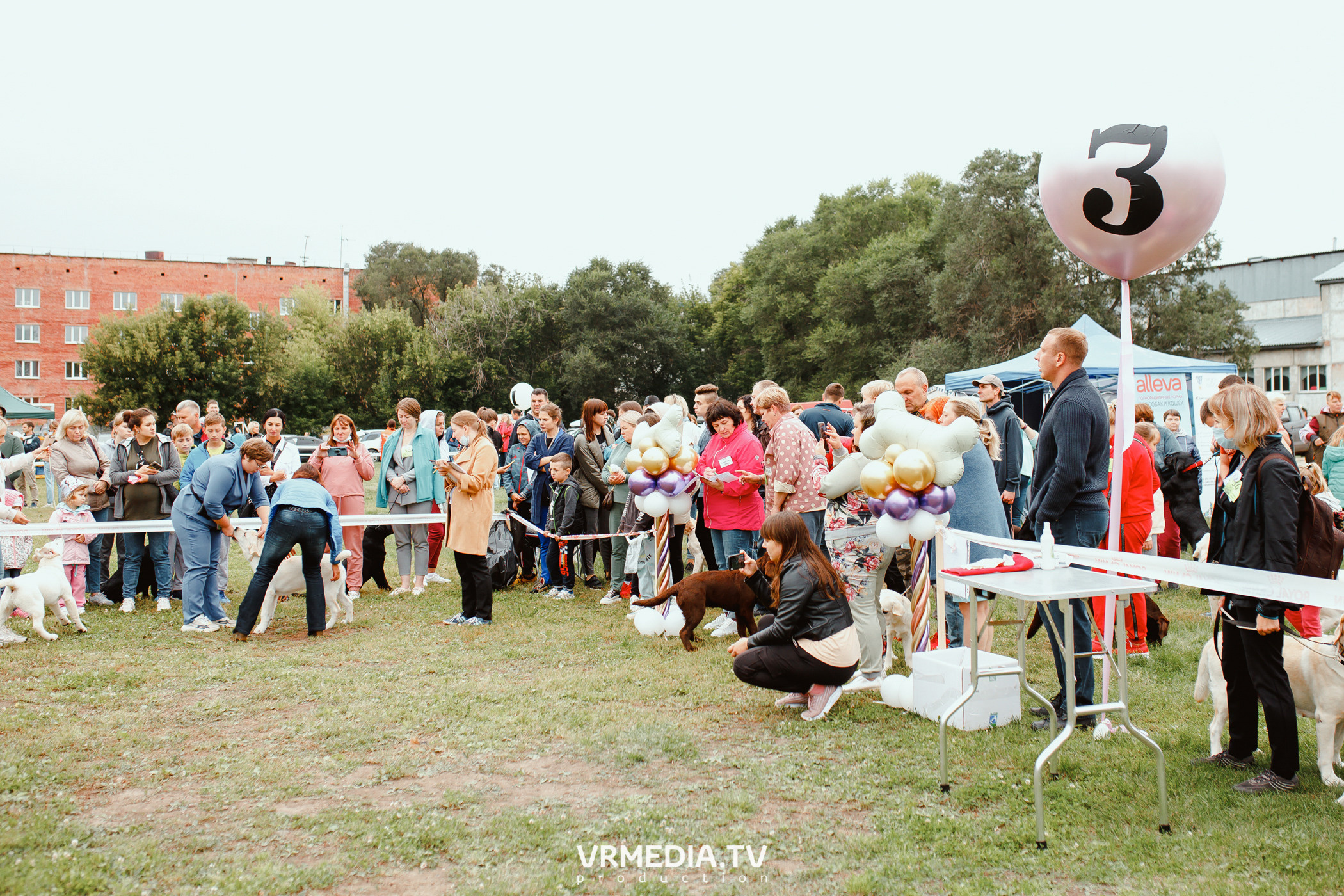 Монопородная выставка лабрадоров «КУЗБАСС 2021»