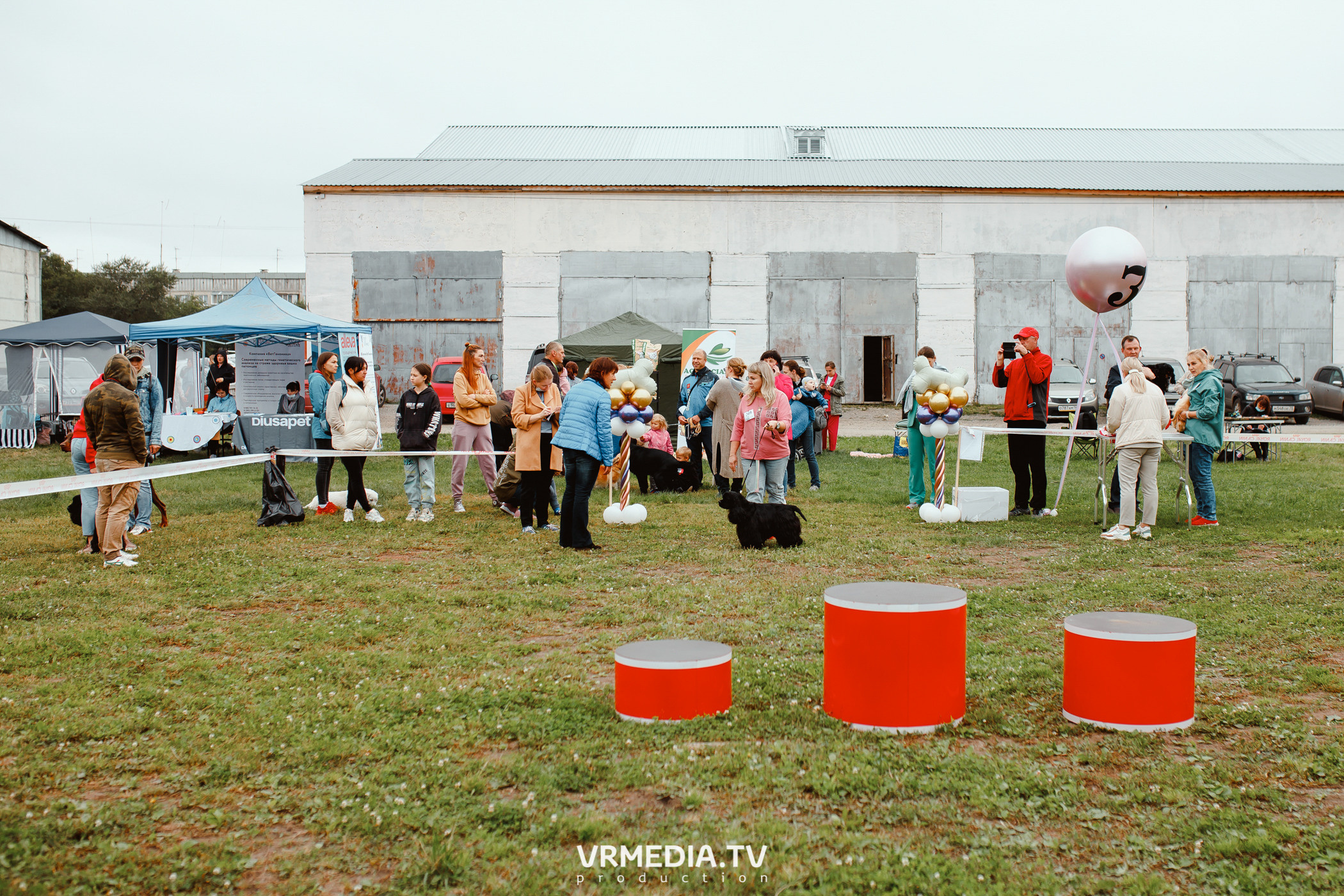 Монопородная выставка лабрадоров «КУЗБАСС 2021»