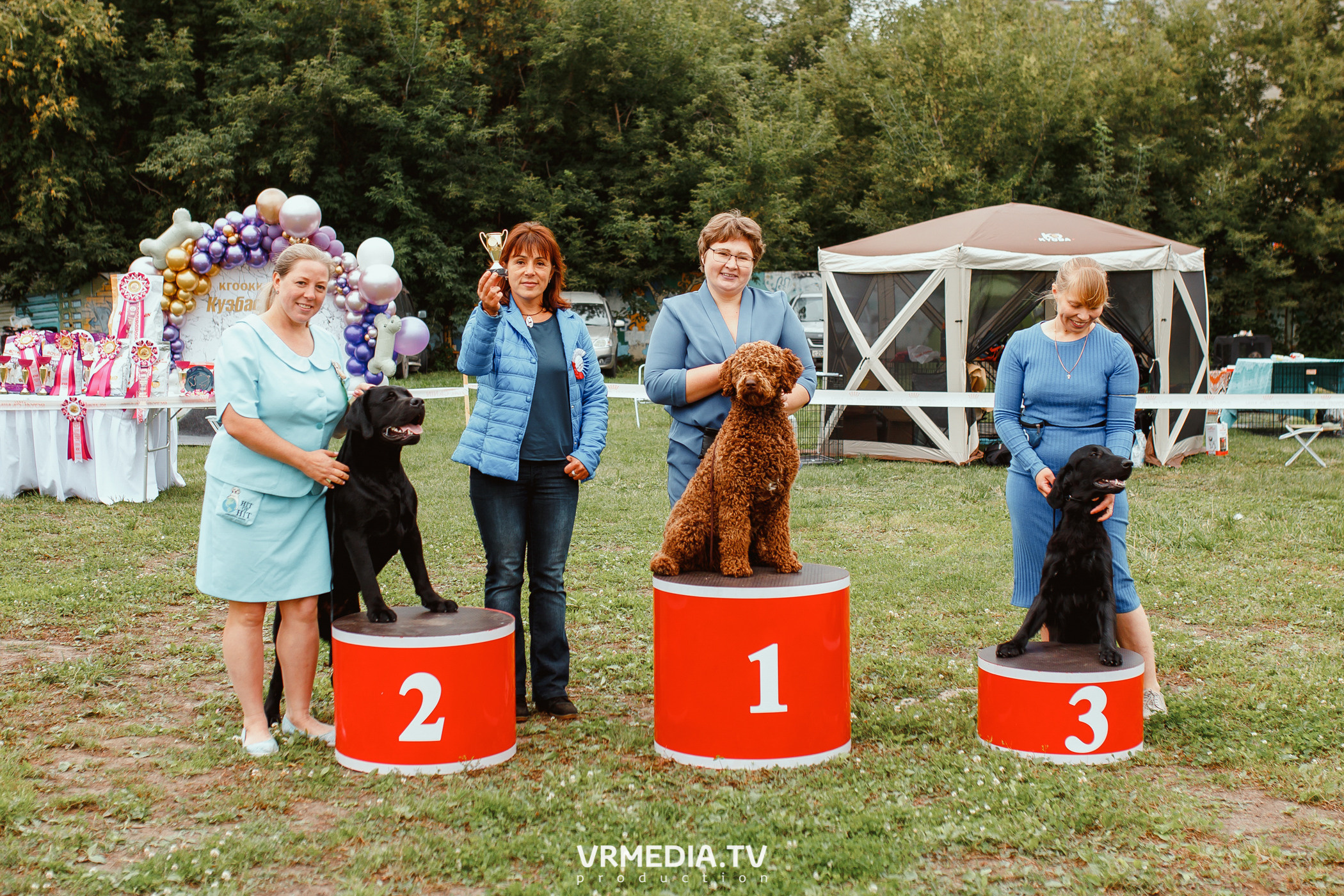 Монопородная выставка лабрадоров «КУЗБАСС 2021»