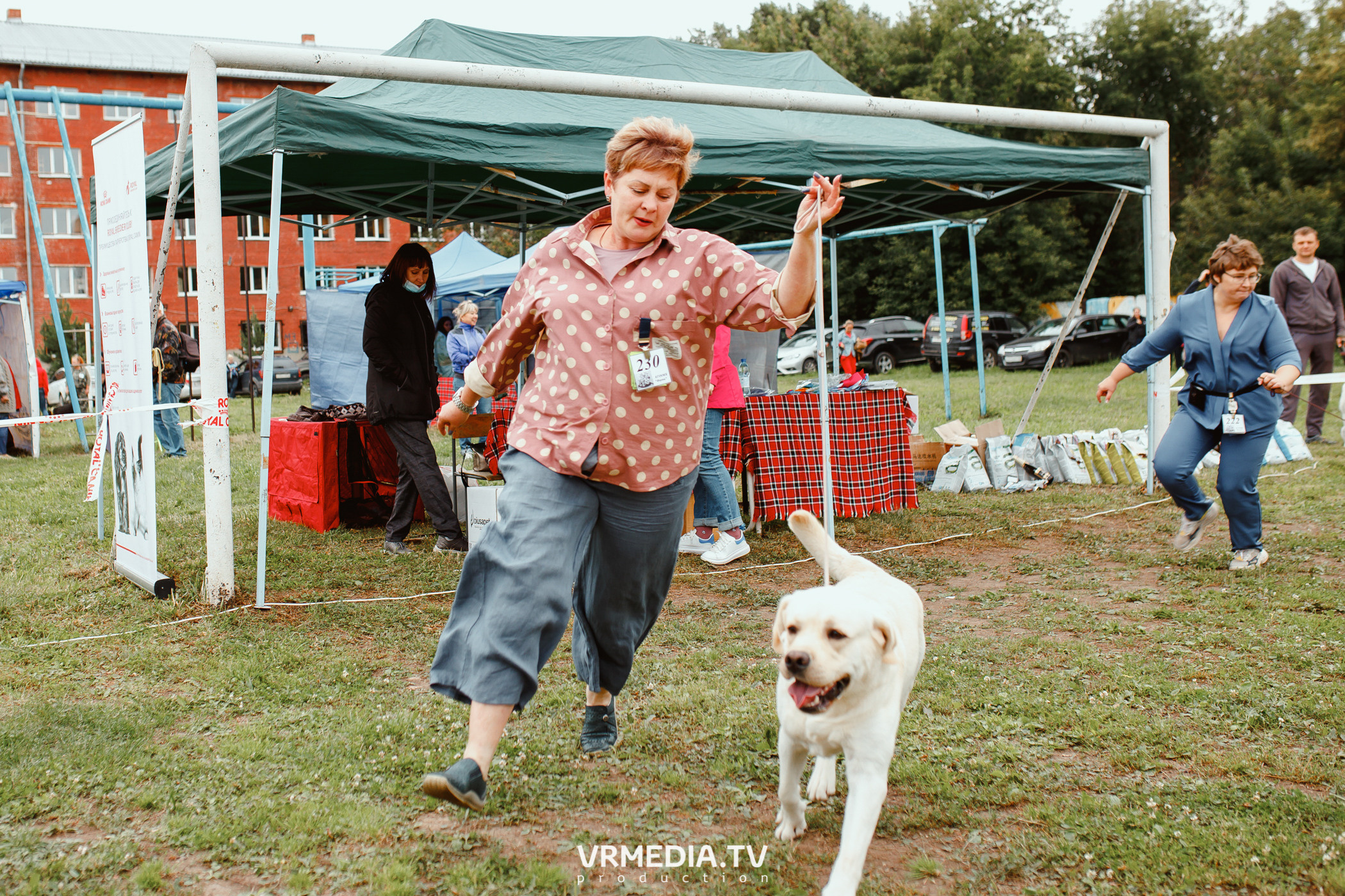 Монопородная выставка лабрадоров «КУЗБАСС 2021»