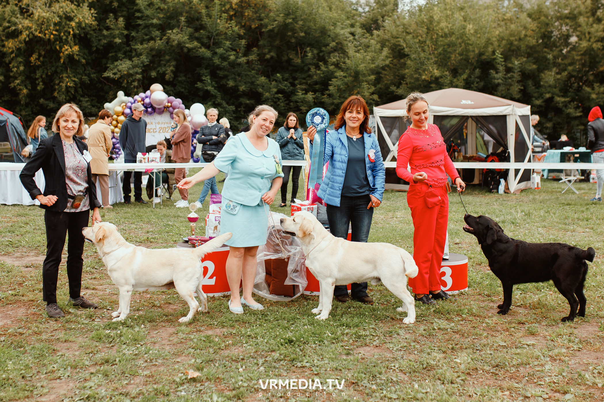 Монопородная выставка лабрадоров «КУЗБАСС 2021»