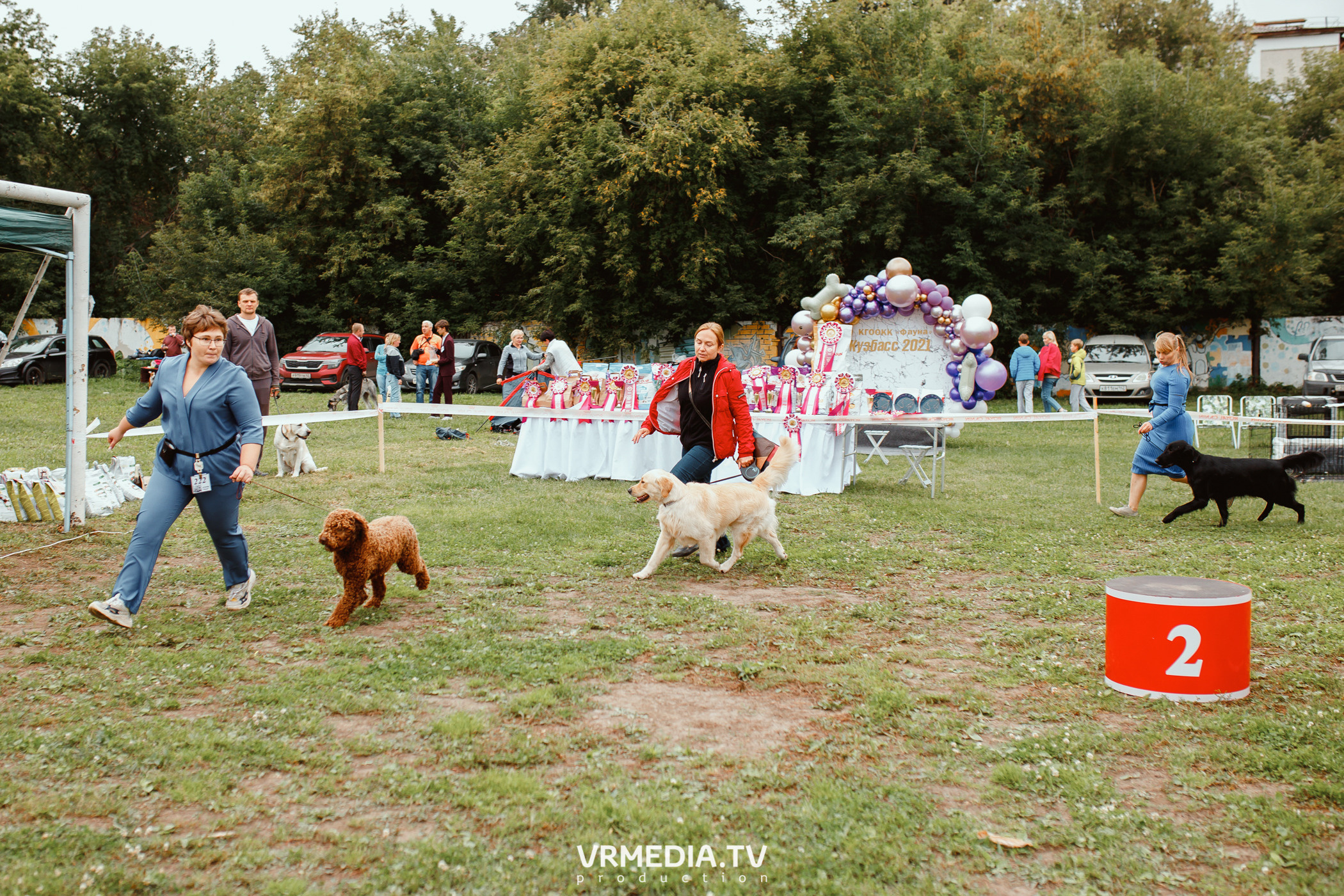 Монопородная выставка лабрадоров «КУЗБАСС 2021»