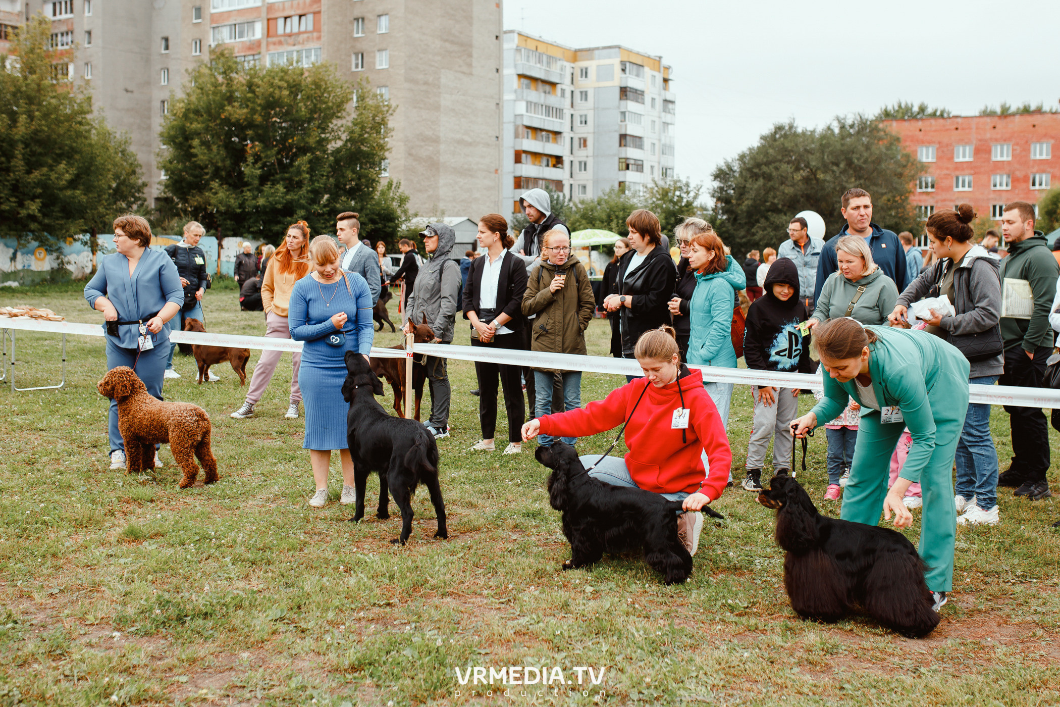 Монопородная выставка лабрадоров «КУЗБАСС 2021»