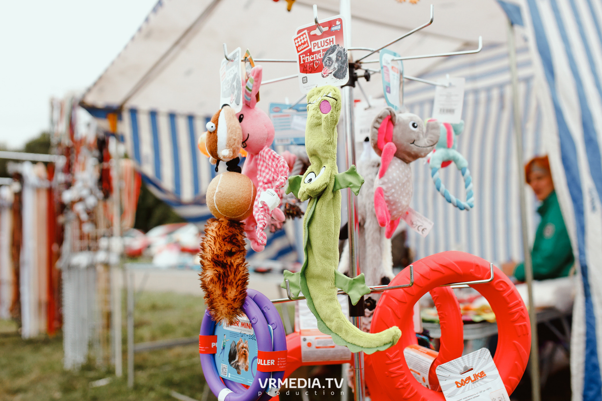 Монопородная выставка лабрадоров «КУЗБАСС 2021»