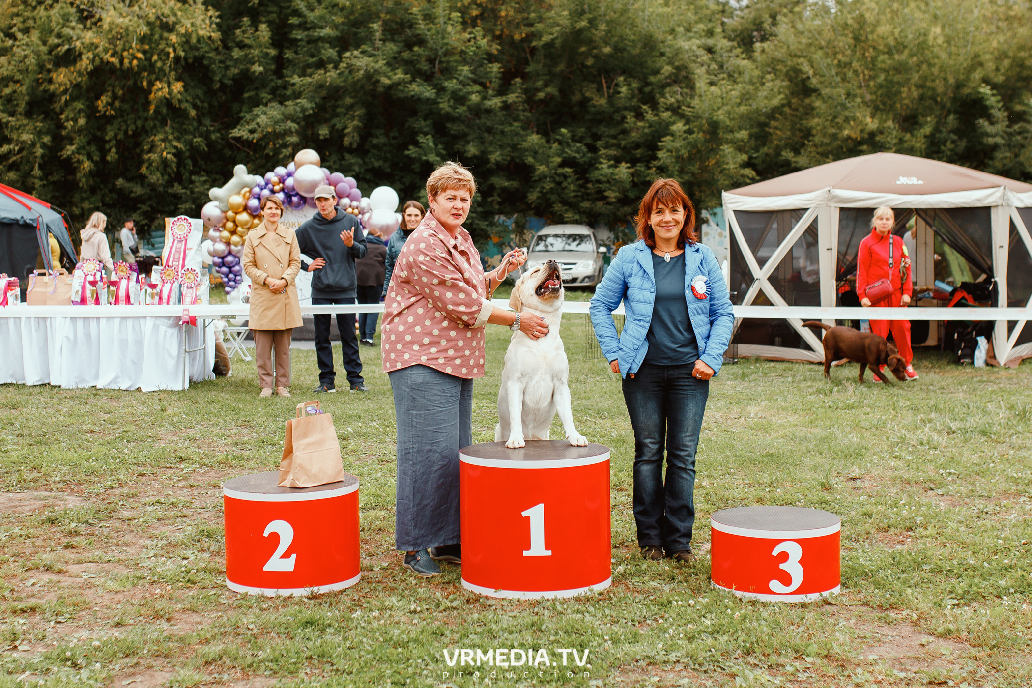 Монопородная выставка лабрадоров «КУЗБАСС 2021»