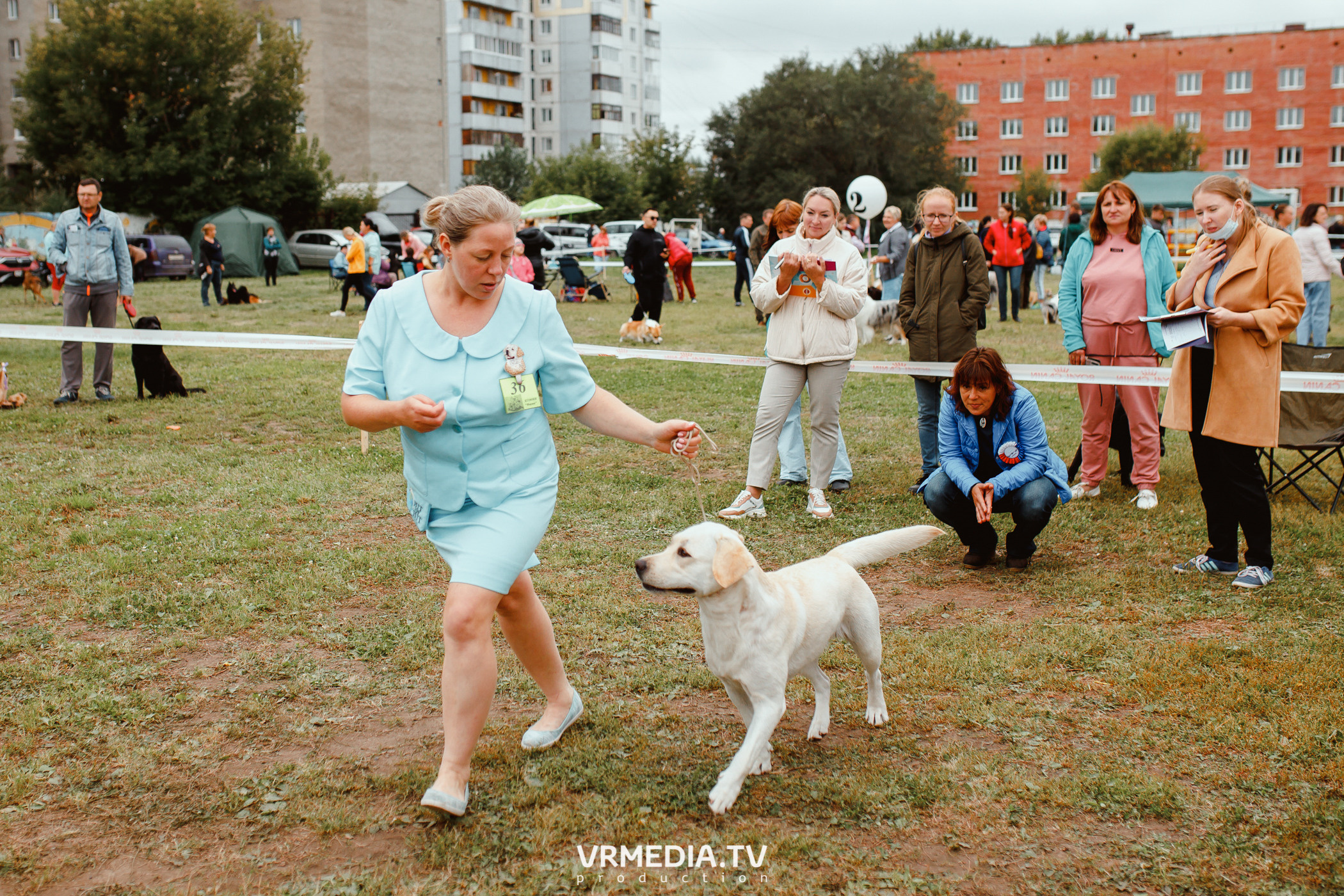 Монопородная выставка лабрадоров «КУЗБАСС 2021»