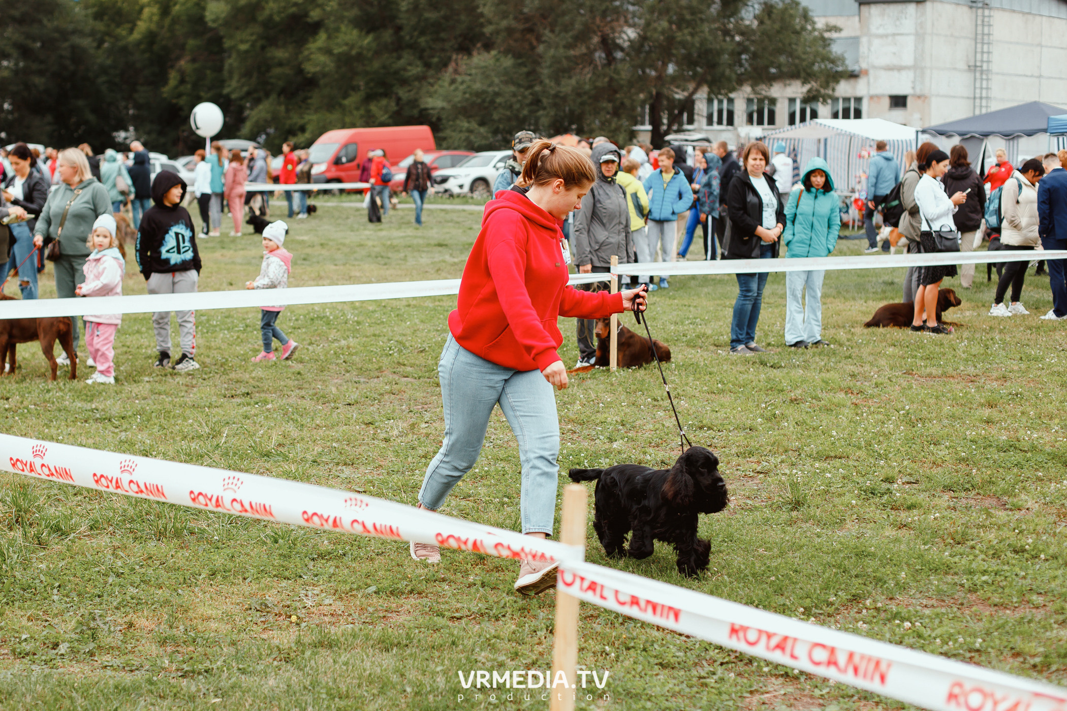 Монопородная выставка лабрадоров «КУЗБАСС 2021»