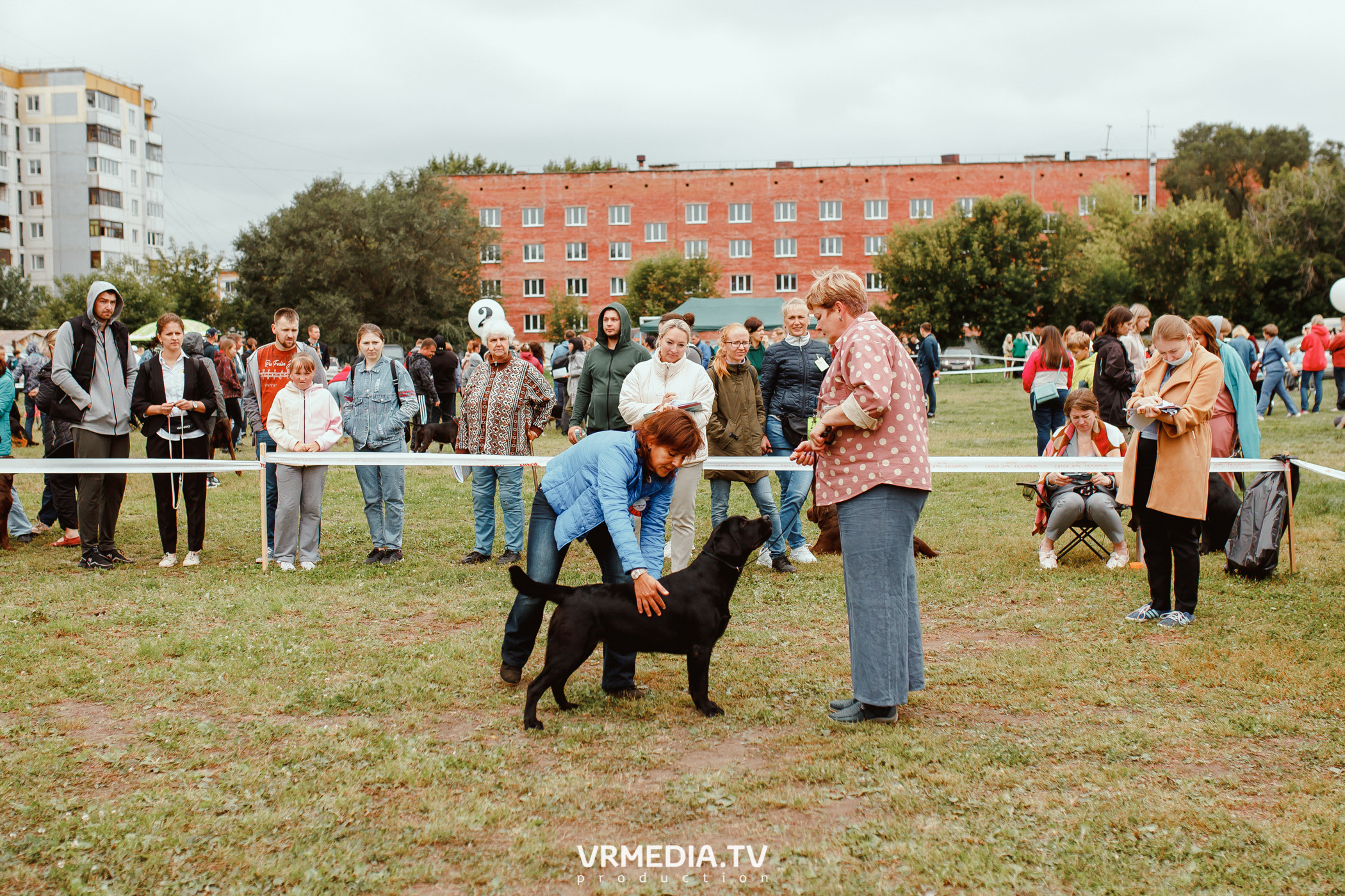 Монопородная выставка лабрадоров «КУЗБАСС 2021»
