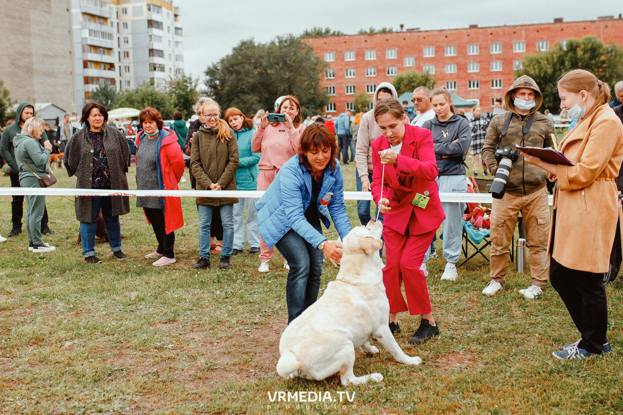 Монопородная выставка лабрадоров «КУЗБАСС 2021»