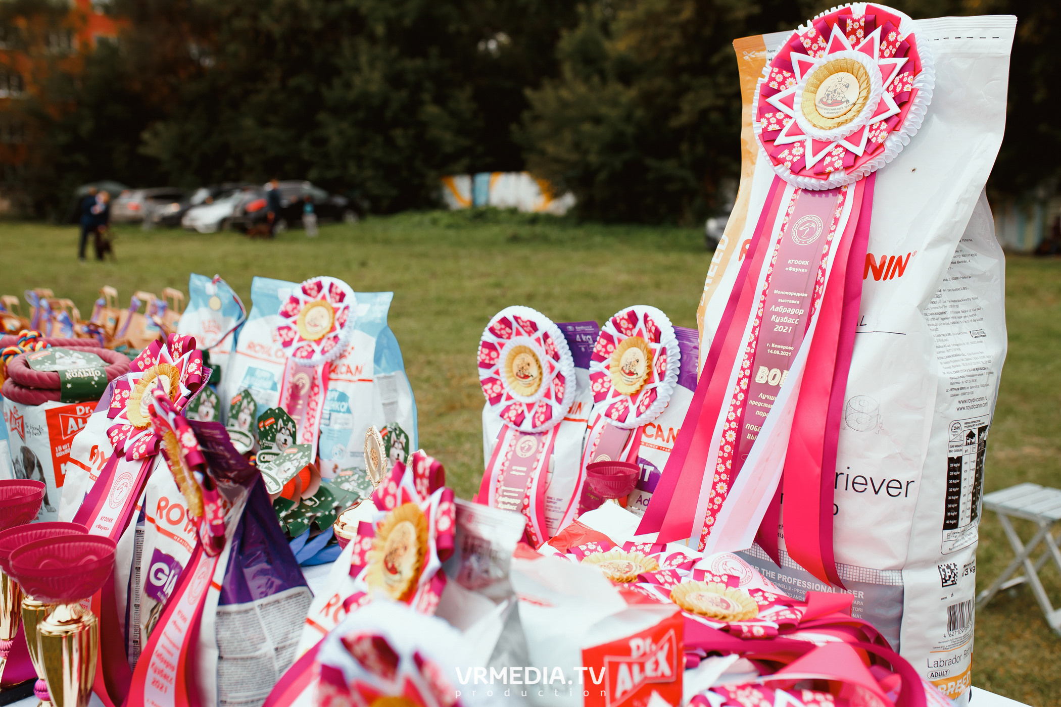 Монопородная выставка лабрадоров «КУЗБАСС 2021»