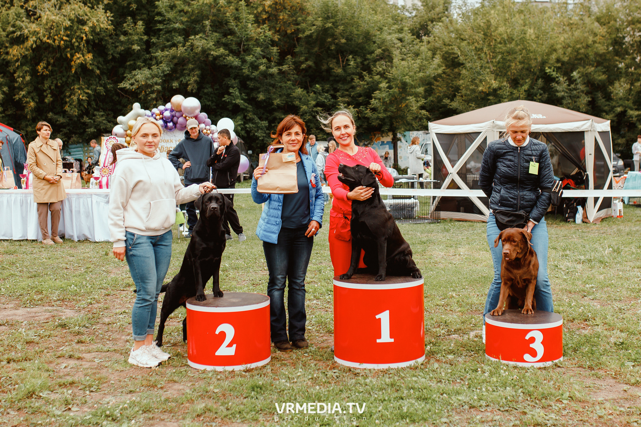 Монопородная выставка лабрадоров «КУЗБАСС 2021»