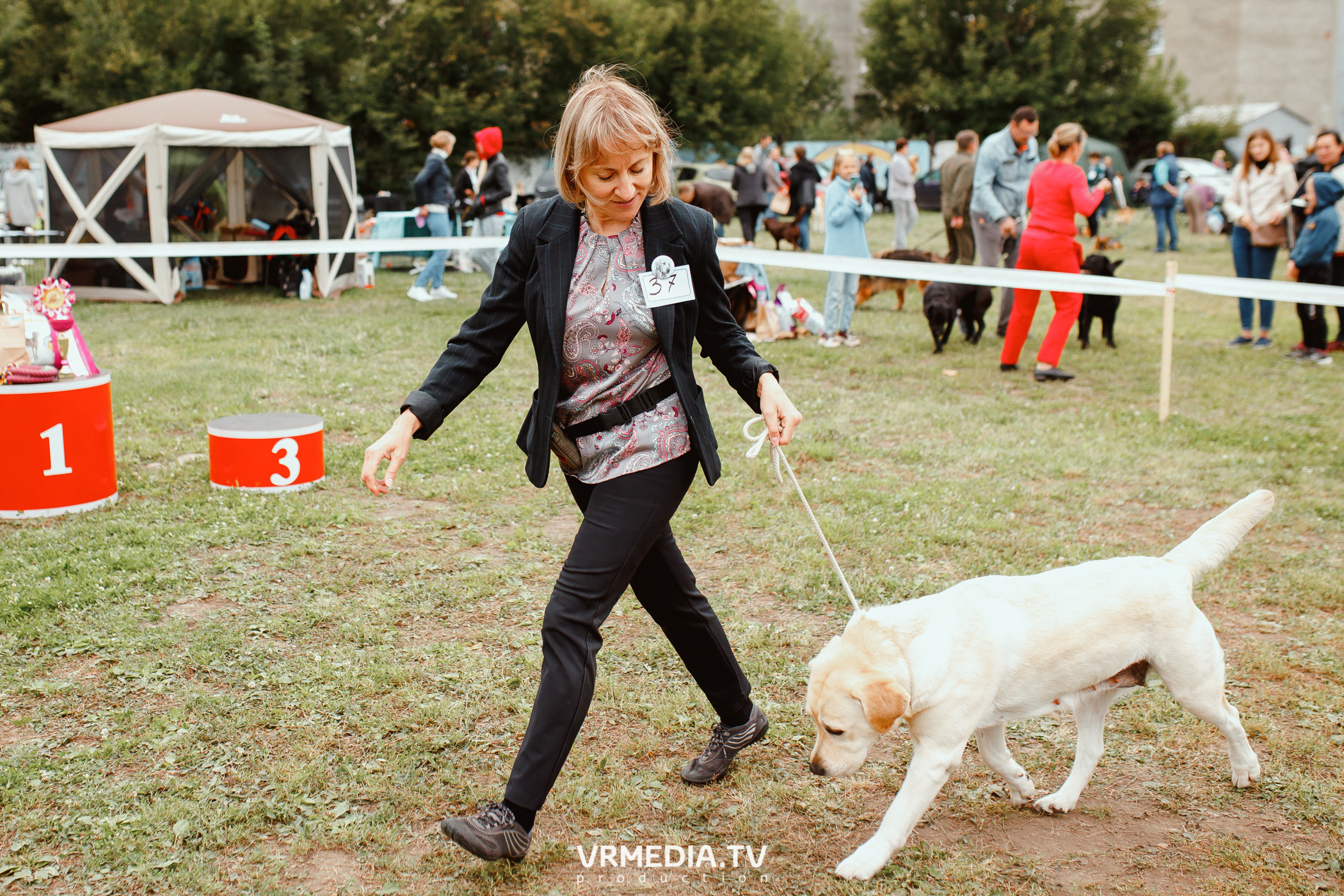 Монопородная выставка лабрадоров «КУЗБАСС 2021»