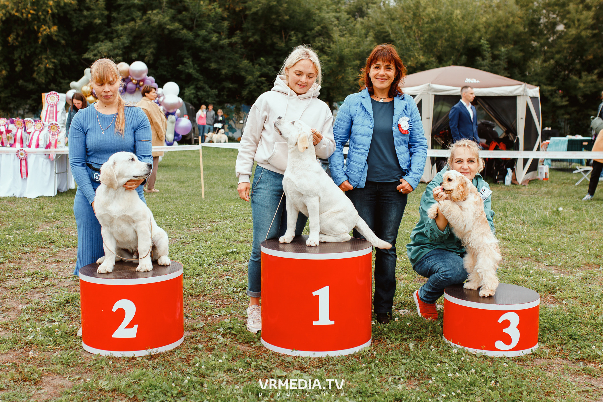 Монопородная выставка лабрадоров «КУЗБАСС 2021»