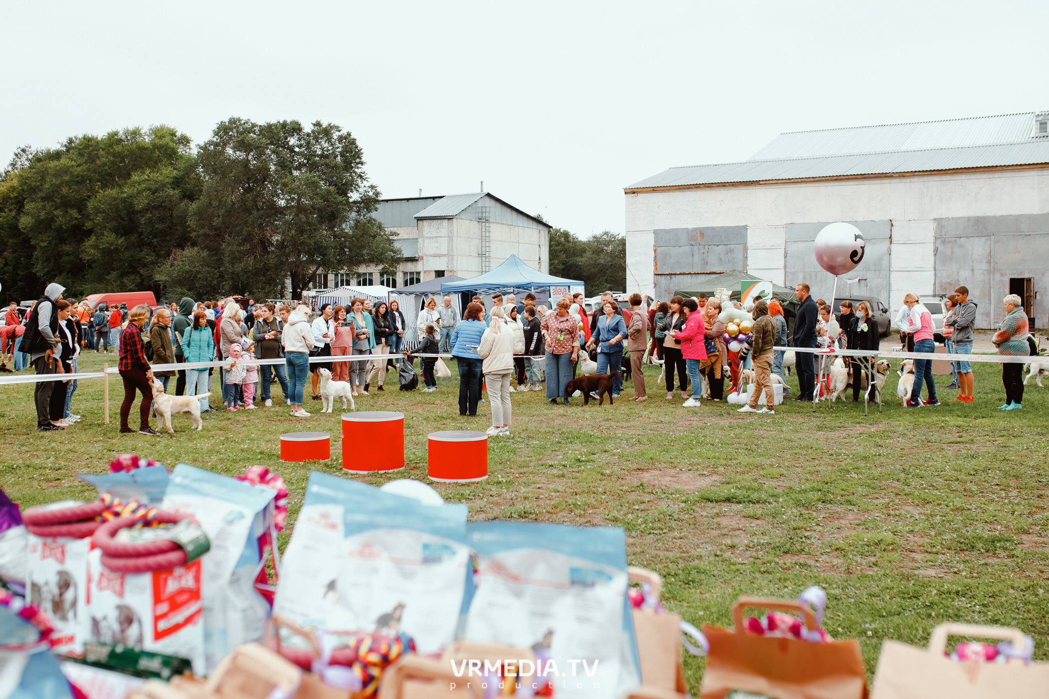 Монопородная выставка лабрадоров «КУЗБАСС 2021»