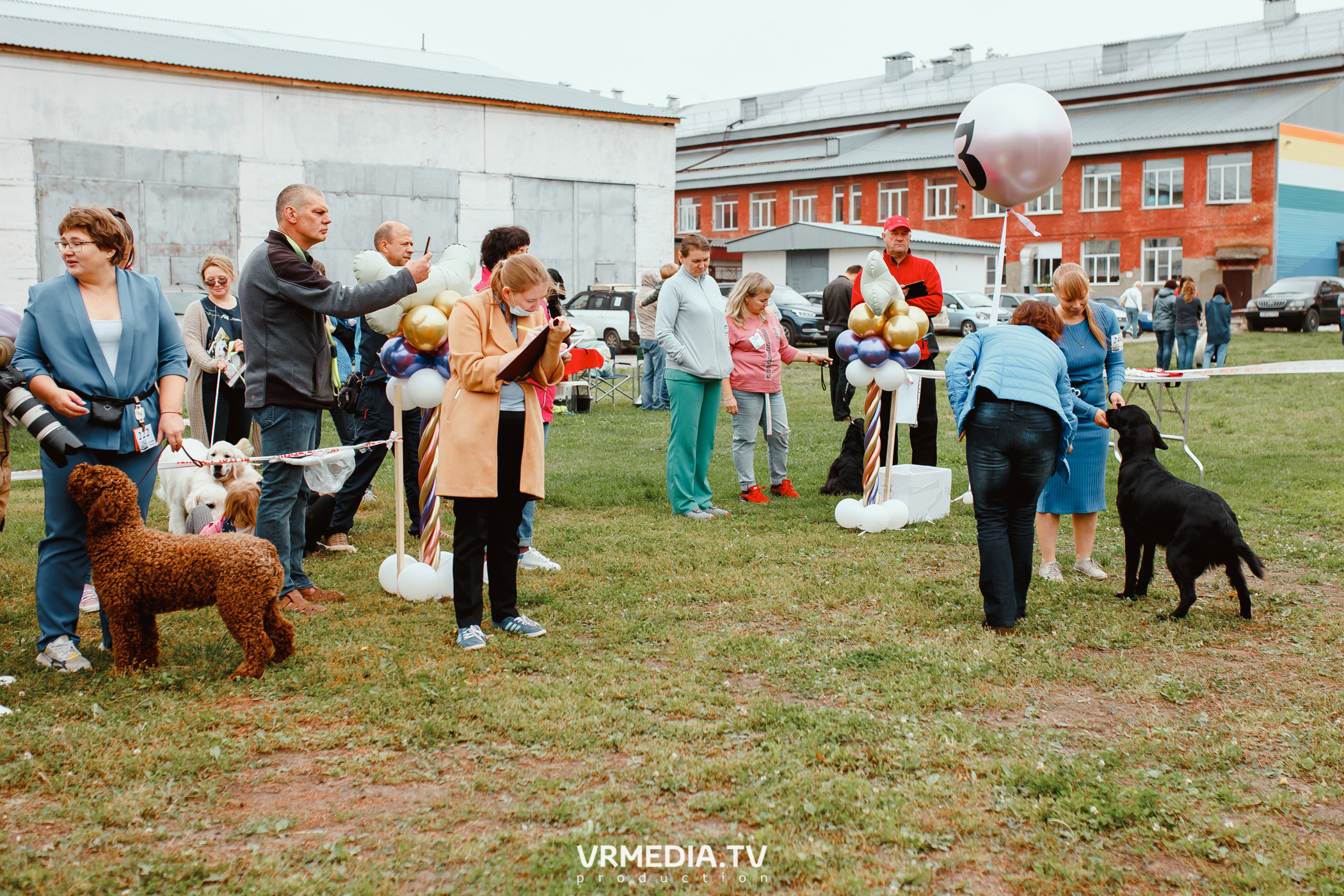Монопородная выставка лабрадоров «КУЗБАСС 2021»