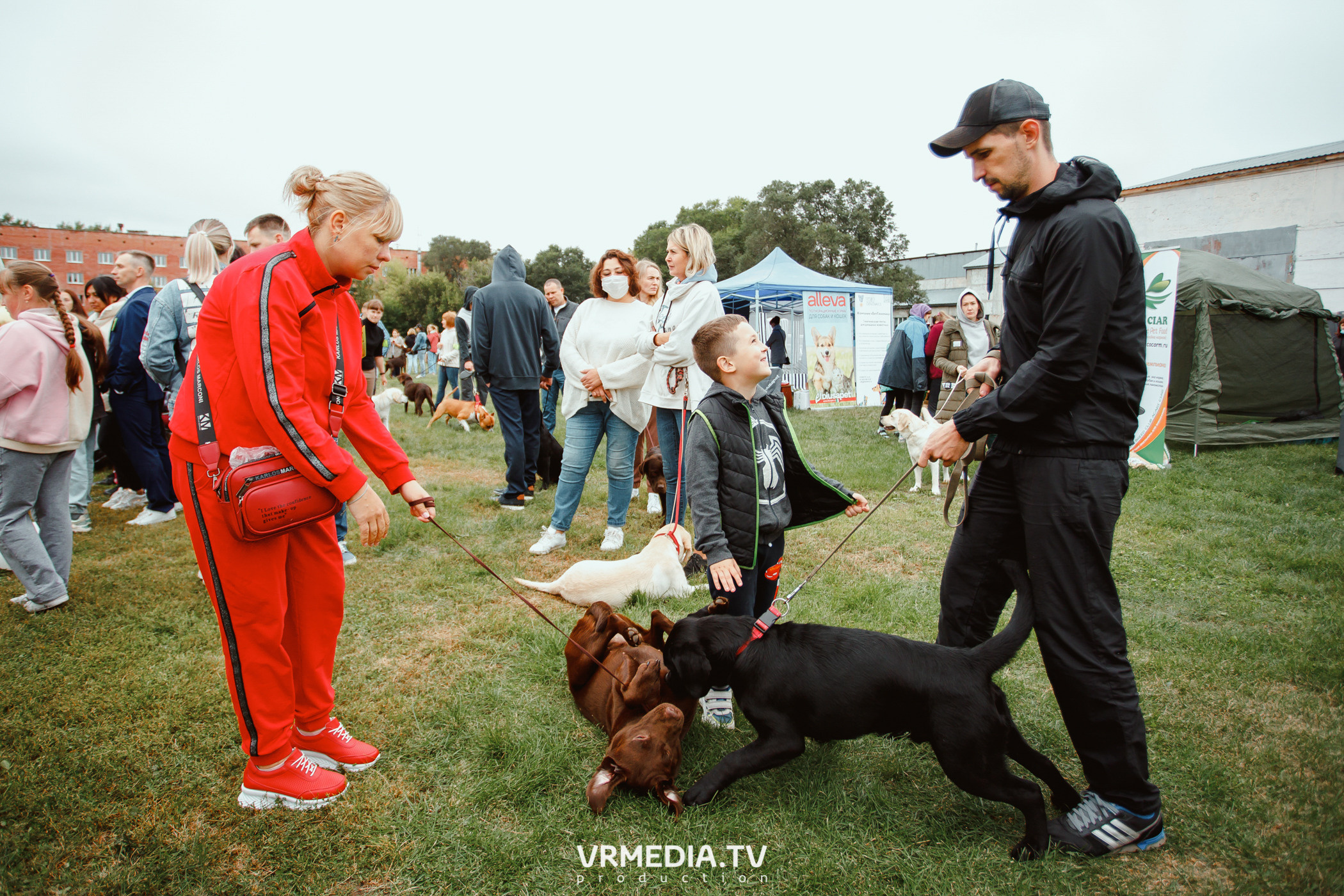 Монопородная выставка лабрадоров «КУЗБАСС 2021»