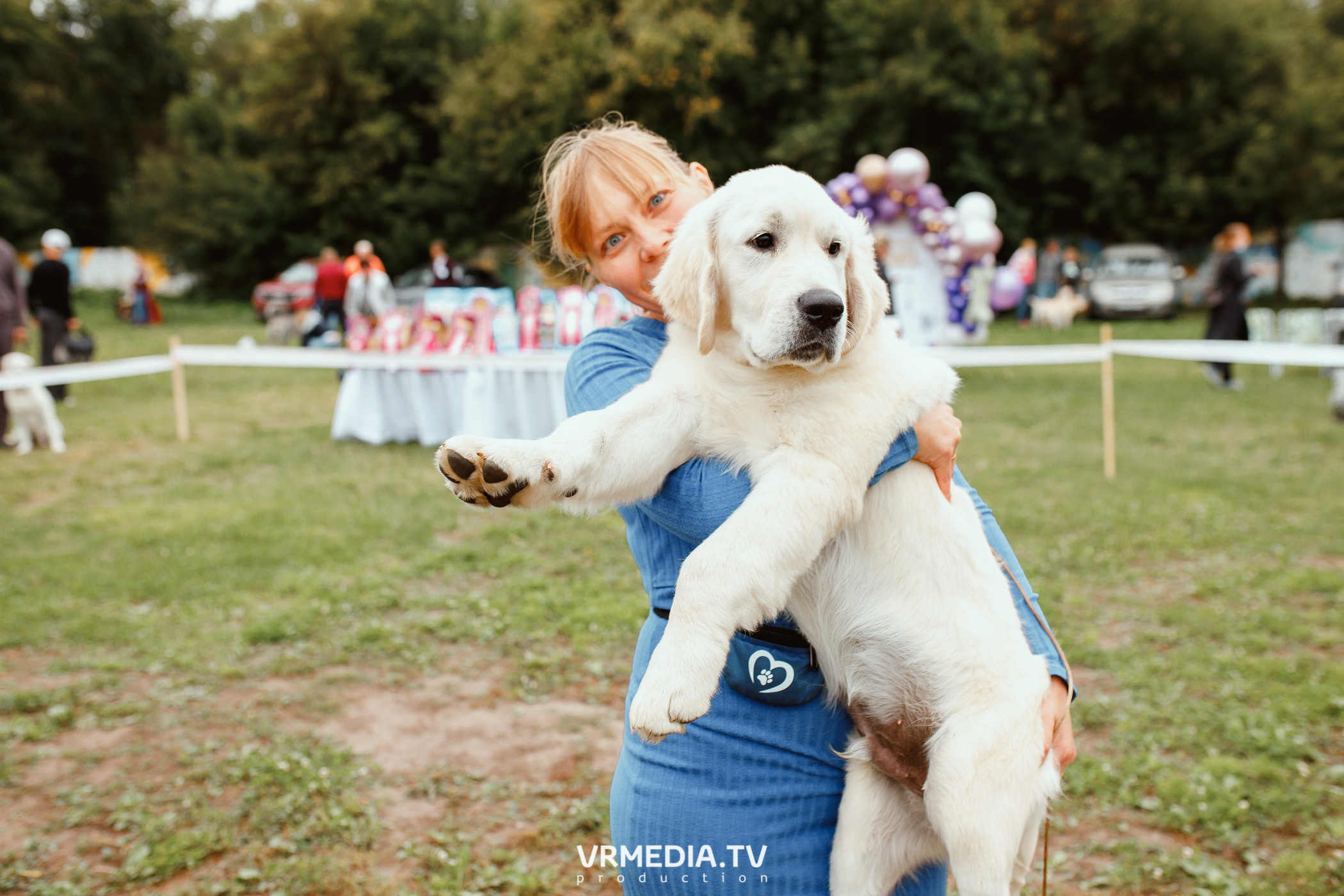 Монопородная выставка лабрадоров «КУЗБАСС 2021»