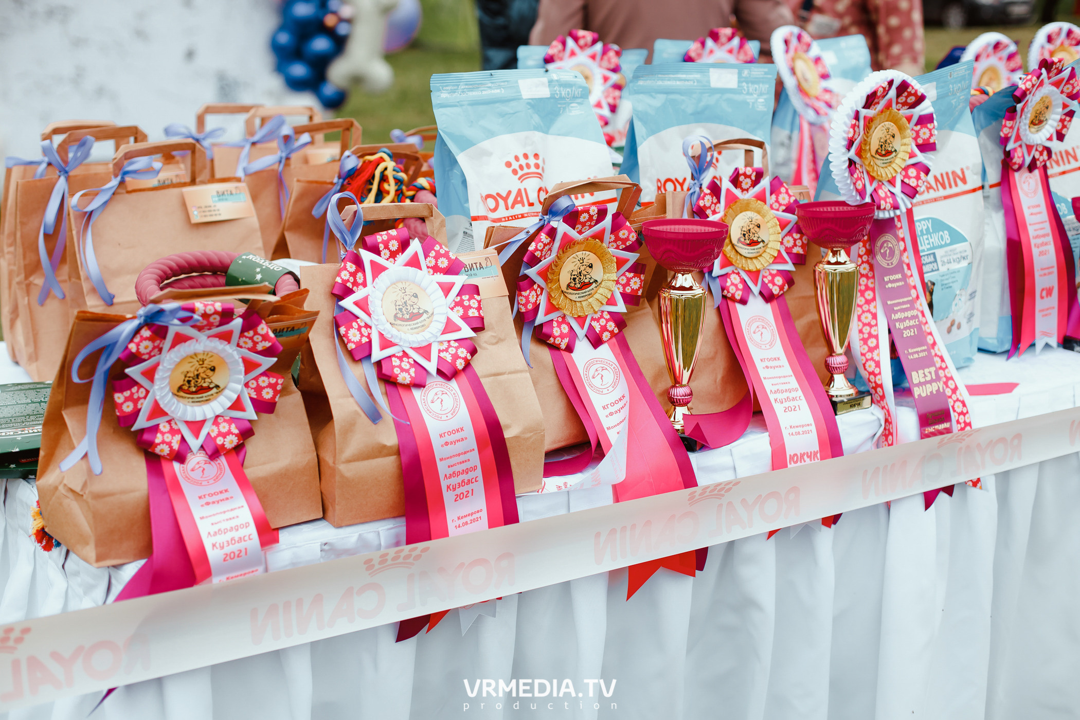 Монопородная выставка лабрадоров «КУЗБАСС 2021»