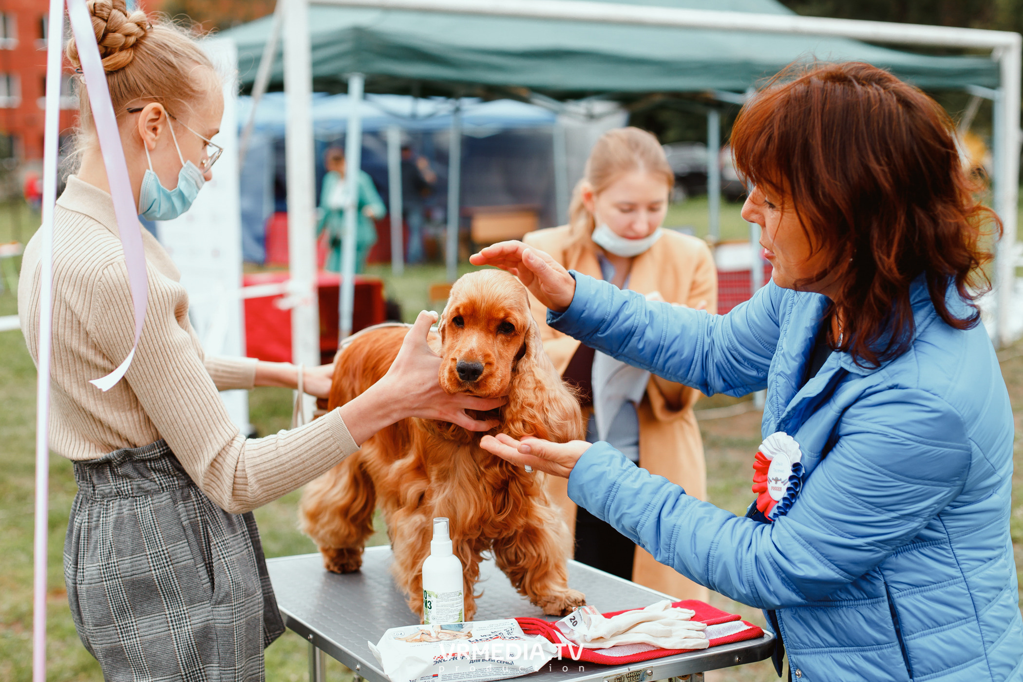 Монопородная выставка лабрадоров «КУЗБАСС 2021»