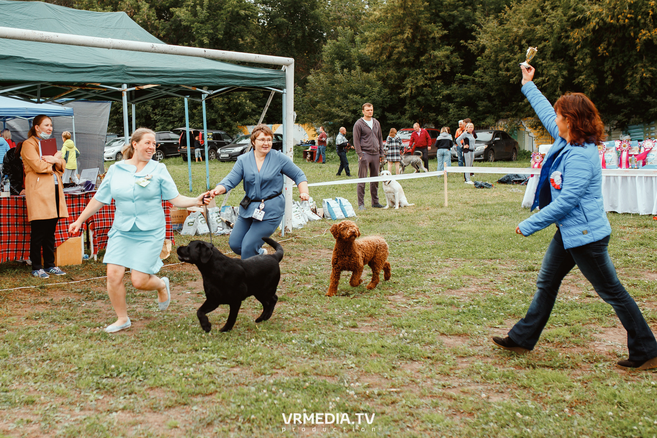 Монопородная выставка лабрадоров «КУЗБАСС 2021»