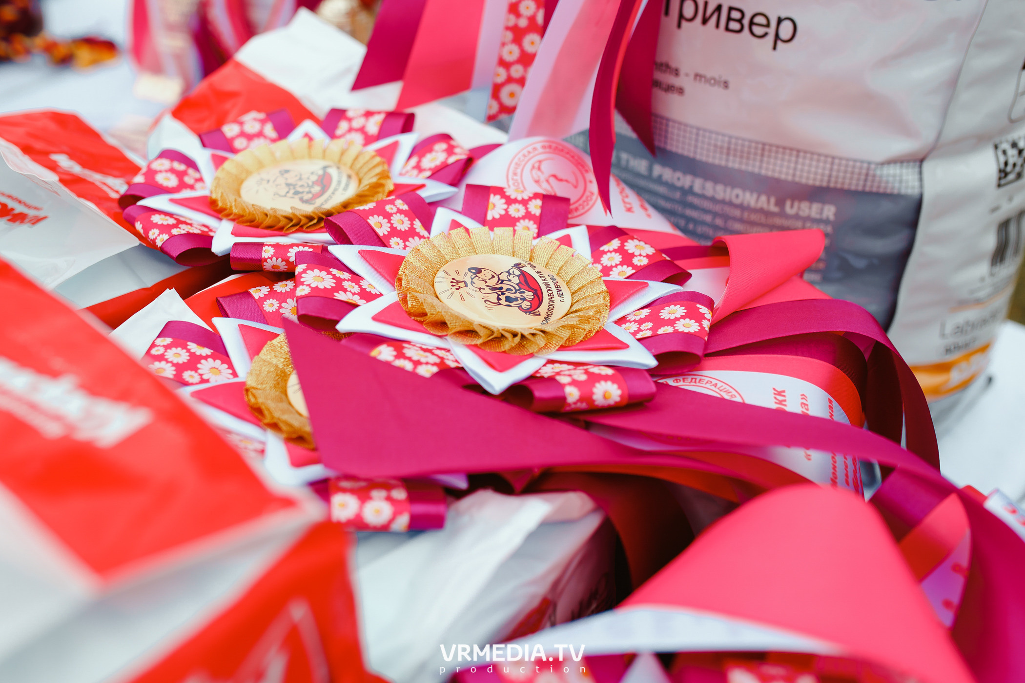 Монопородная выставка лабрадоров «КУЗБАСС 2021»