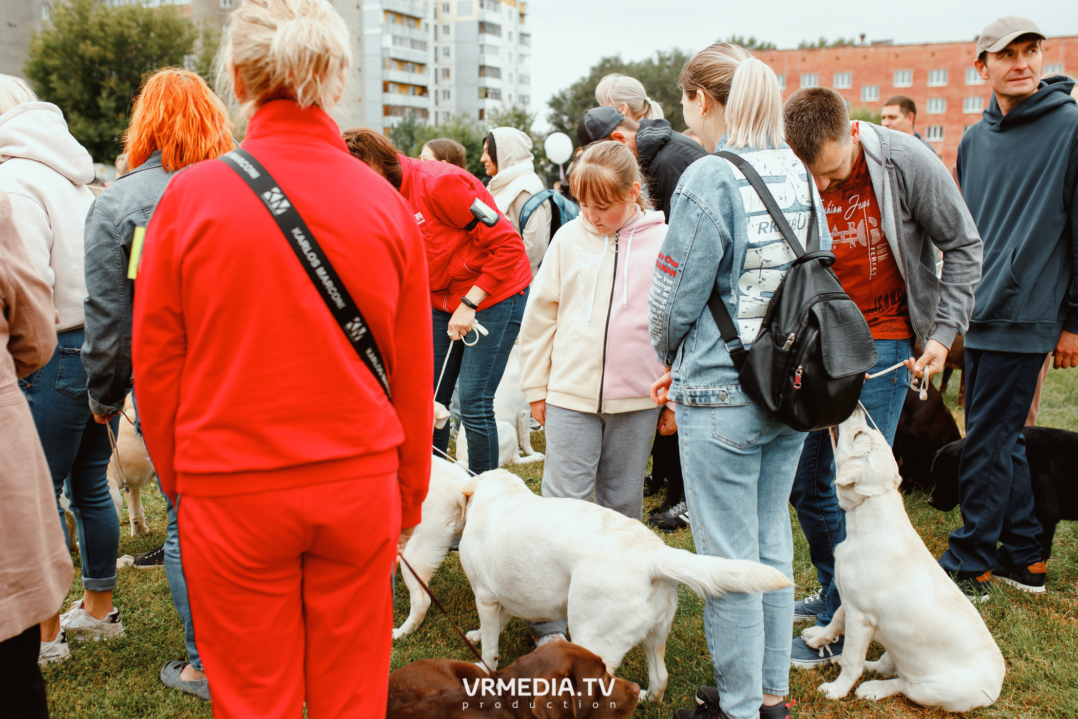 Монопородная выставка лабрадоров «КУЗБАСС 2021»