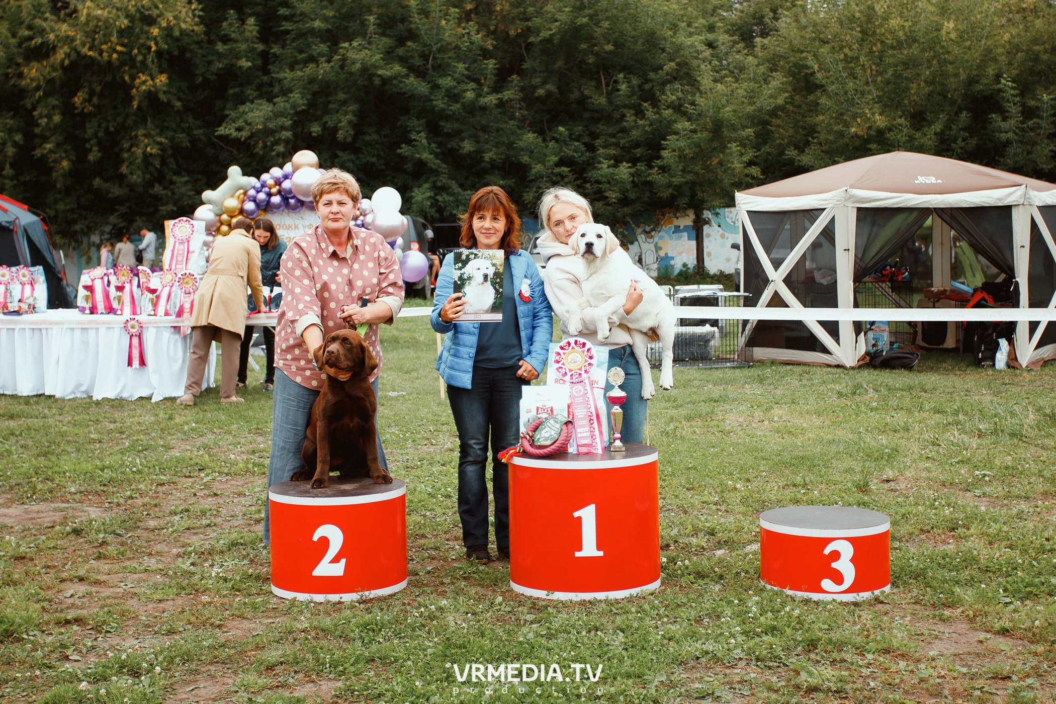 Монопородная выставка лабрадоров «КУЗБАСС 2021»