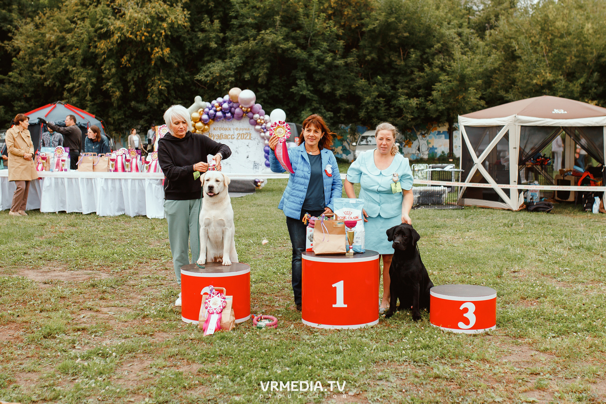 Монопородная выставка лабрадоров «КУЗБАСС 2021»