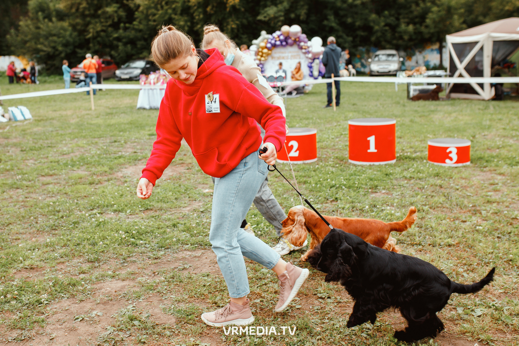 Монопородная выставка лабрадоров «КУЗБАСС 2021»