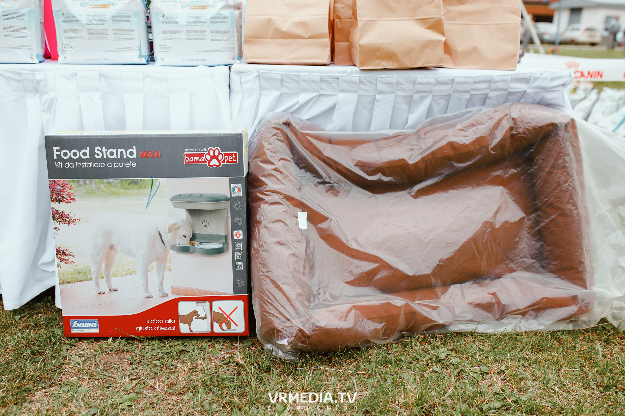 Монопородная выставка лабрадоров «КУЗБАСС 2021»