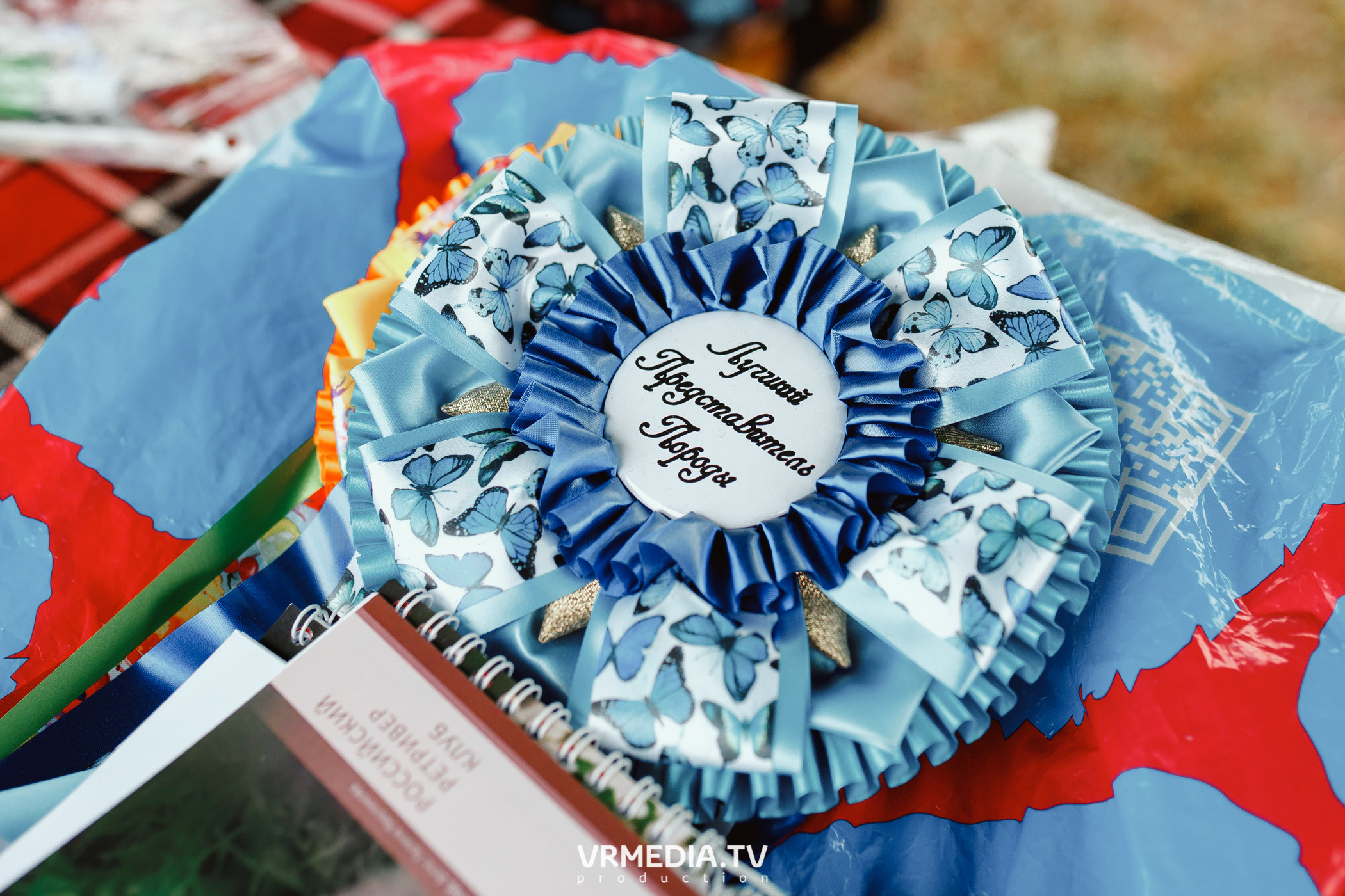 Монопородная выставка лабрадоров «КУЗБАСС 2021»