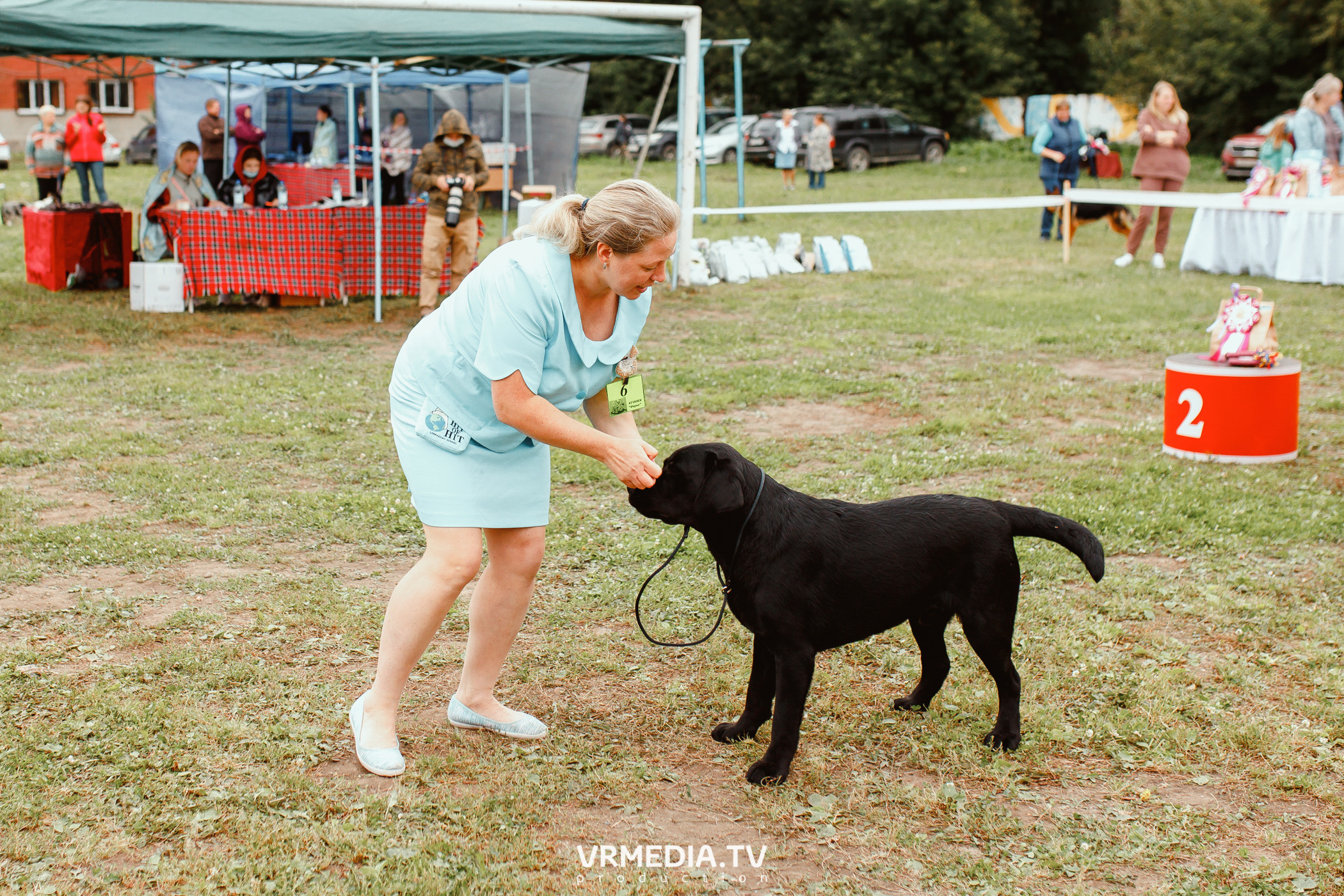 Монопородная выставка лабрадоров «КУЗБАСС 2021»